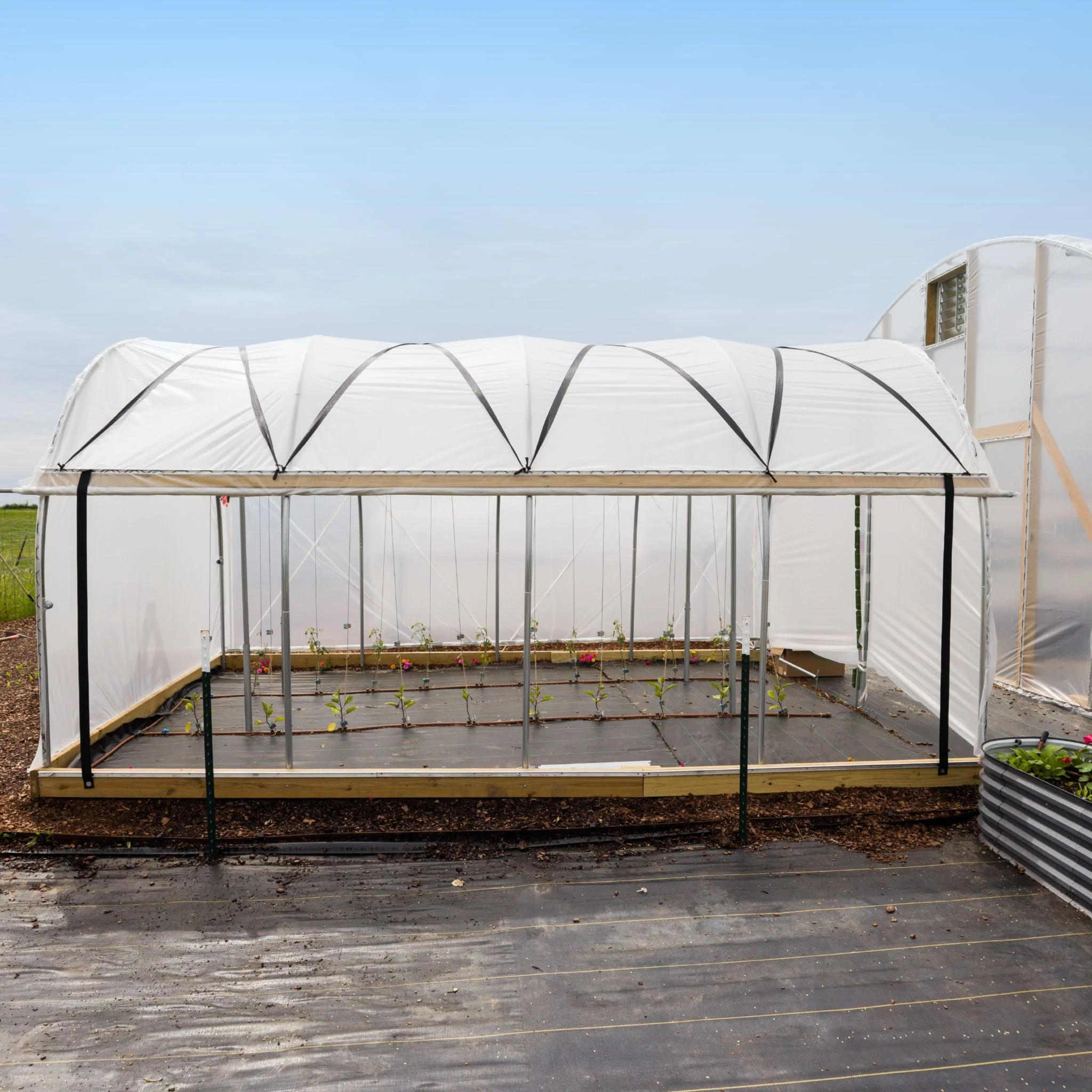10' Essential Round High Tunnel - Image 5