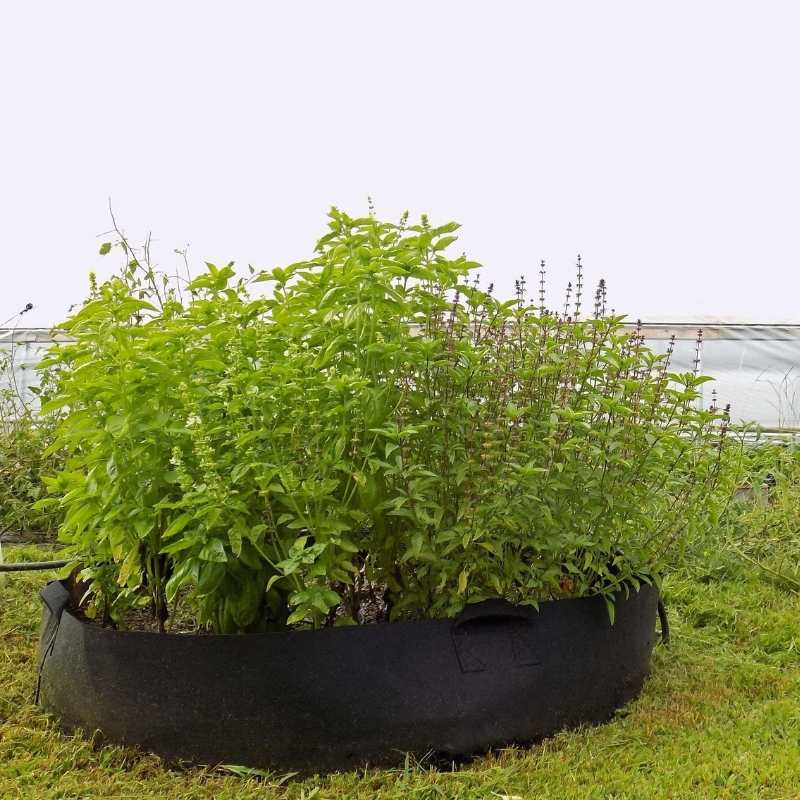 Grow Bags - 100 Gallon - Image 4