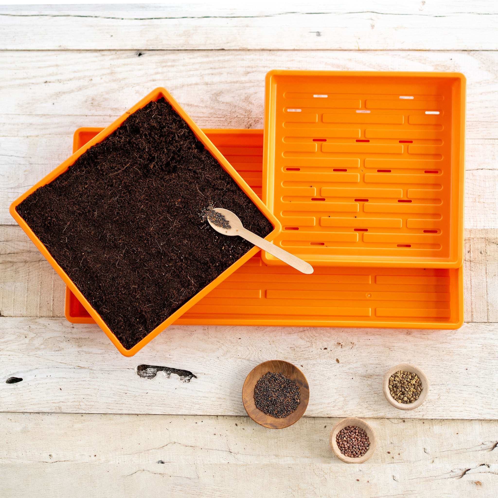 1010 Microgreens Kit - Image 14