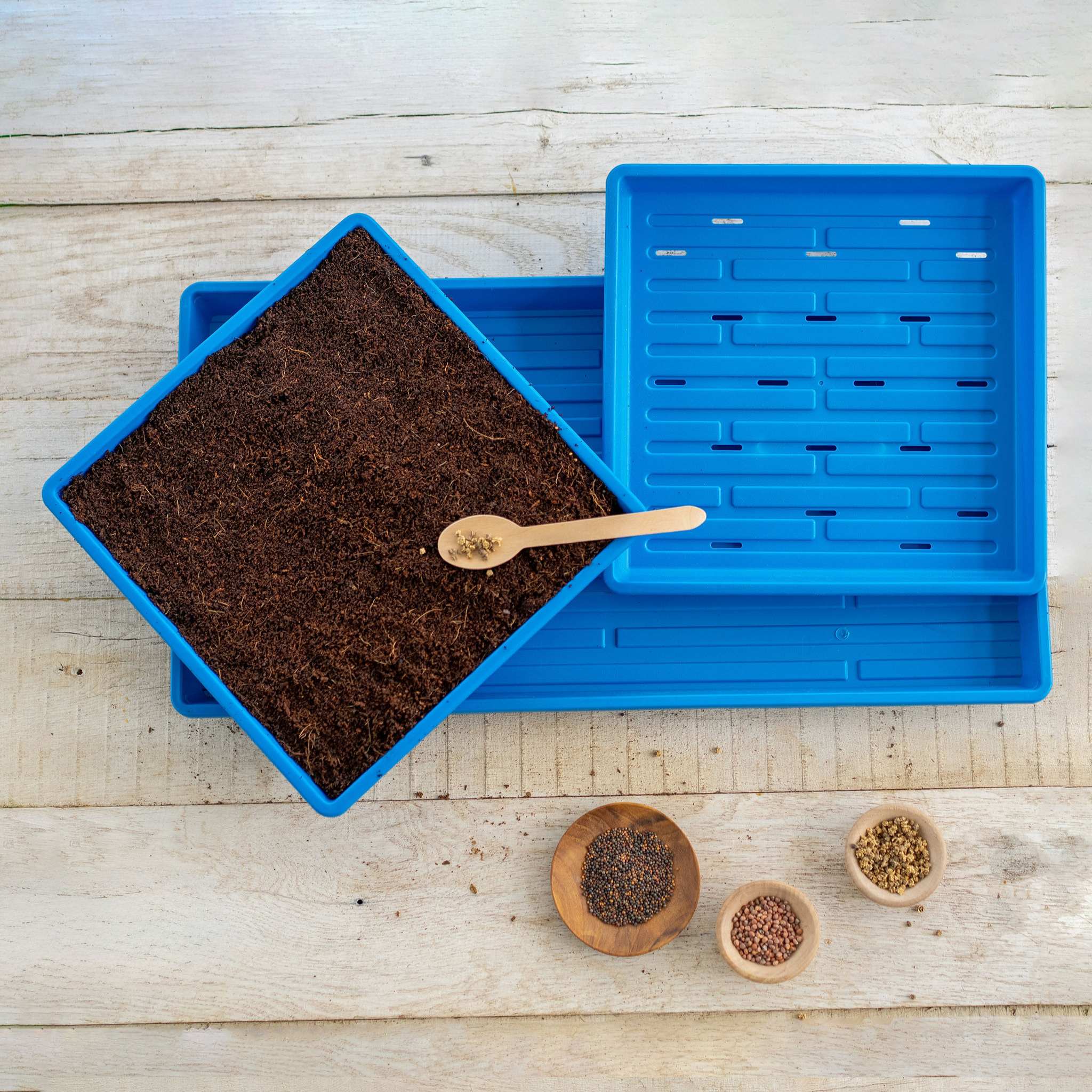1010 Microgreens Kit - Image 6