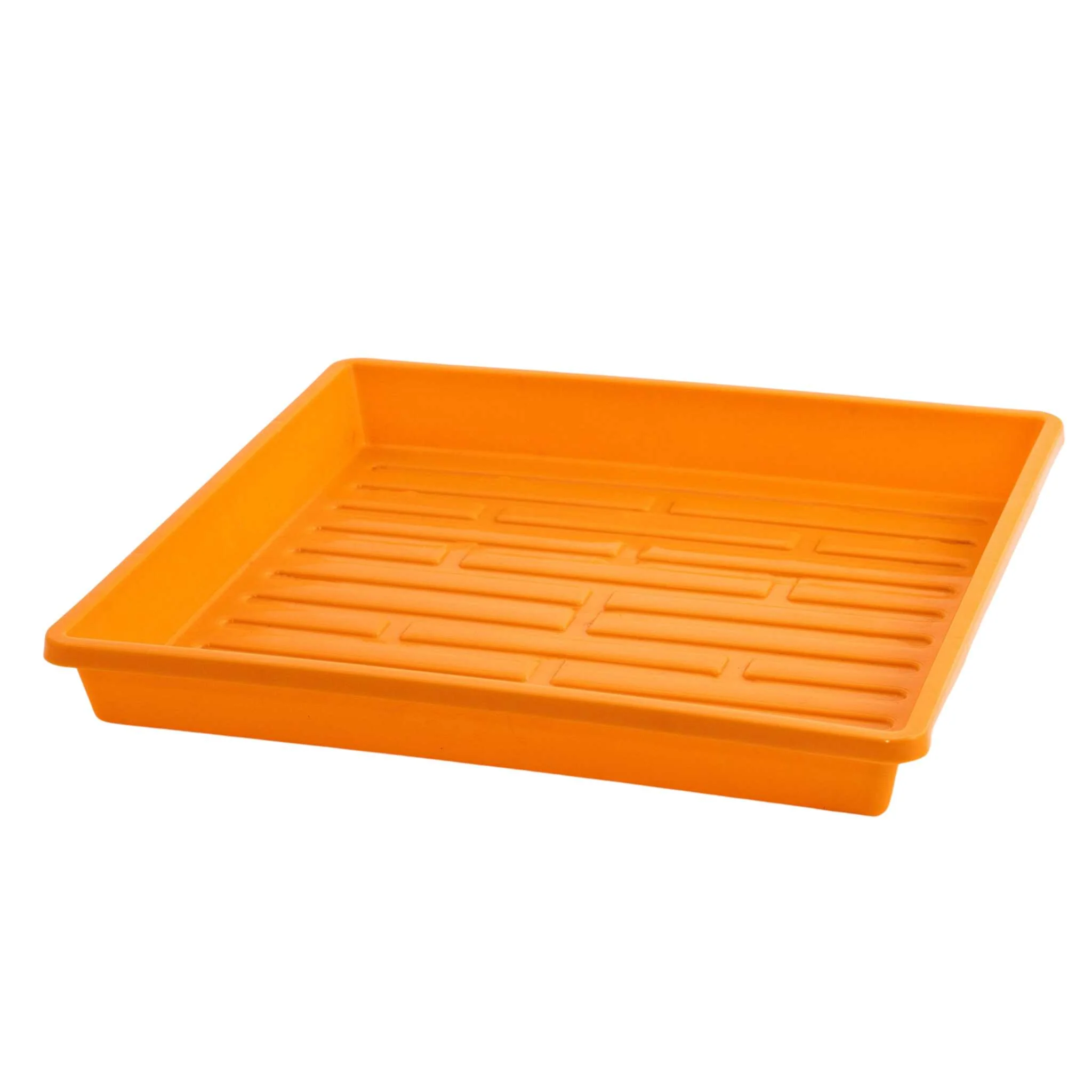 1010 Extra Strength Shallow Seed Trays - Image 10