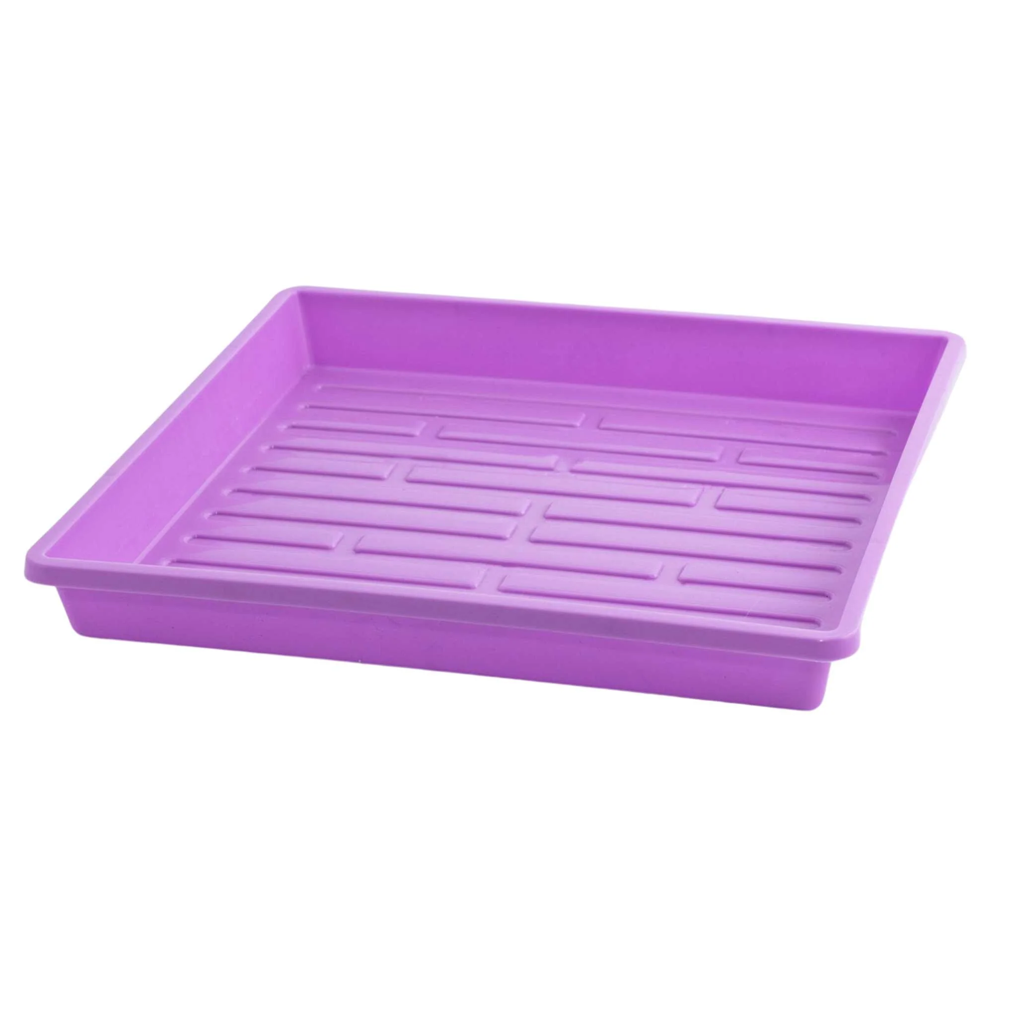 1010 Extra Strength Shallow Seed Trays - Image 13
