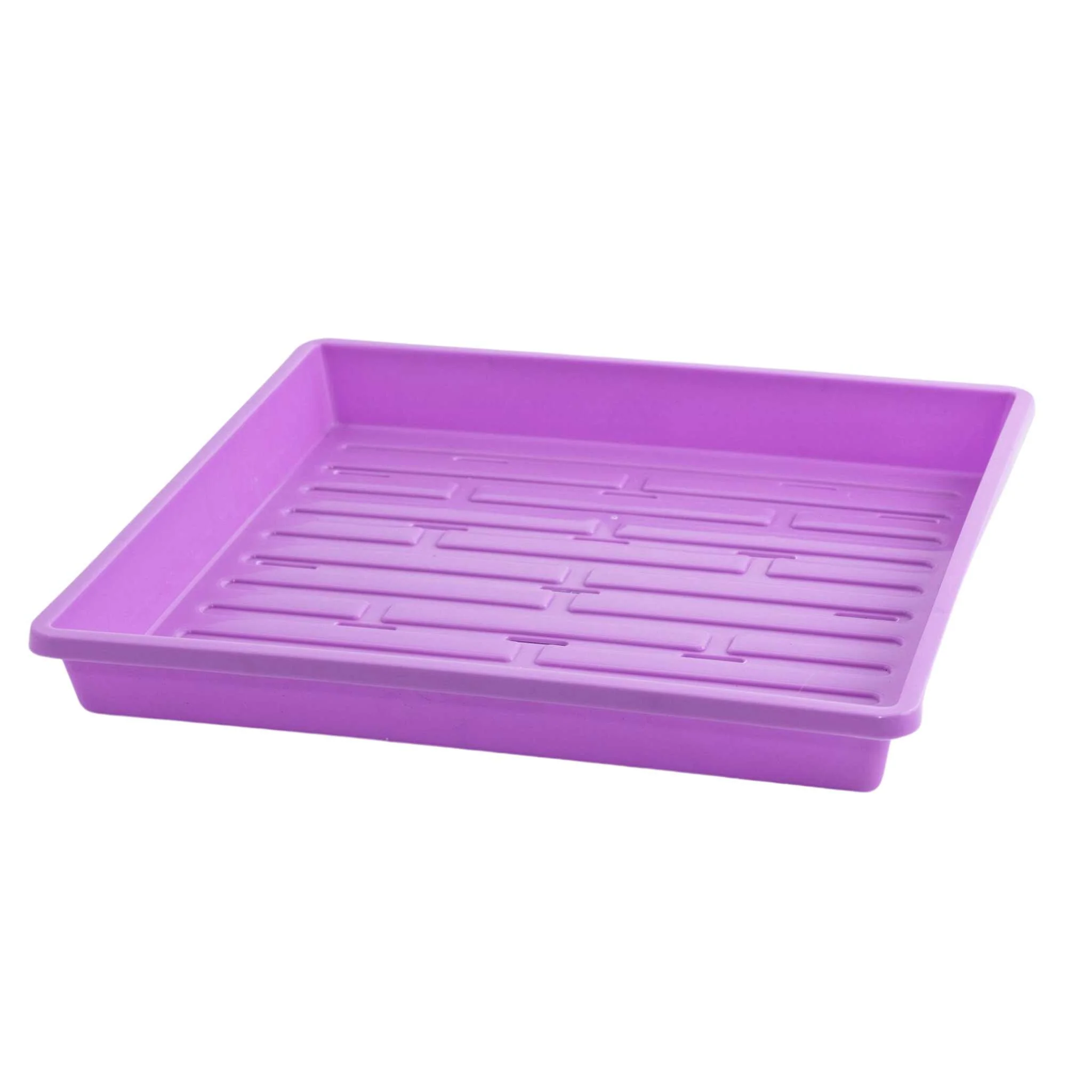 1010 Extra Strength Shallow Seed Trays - Image 14