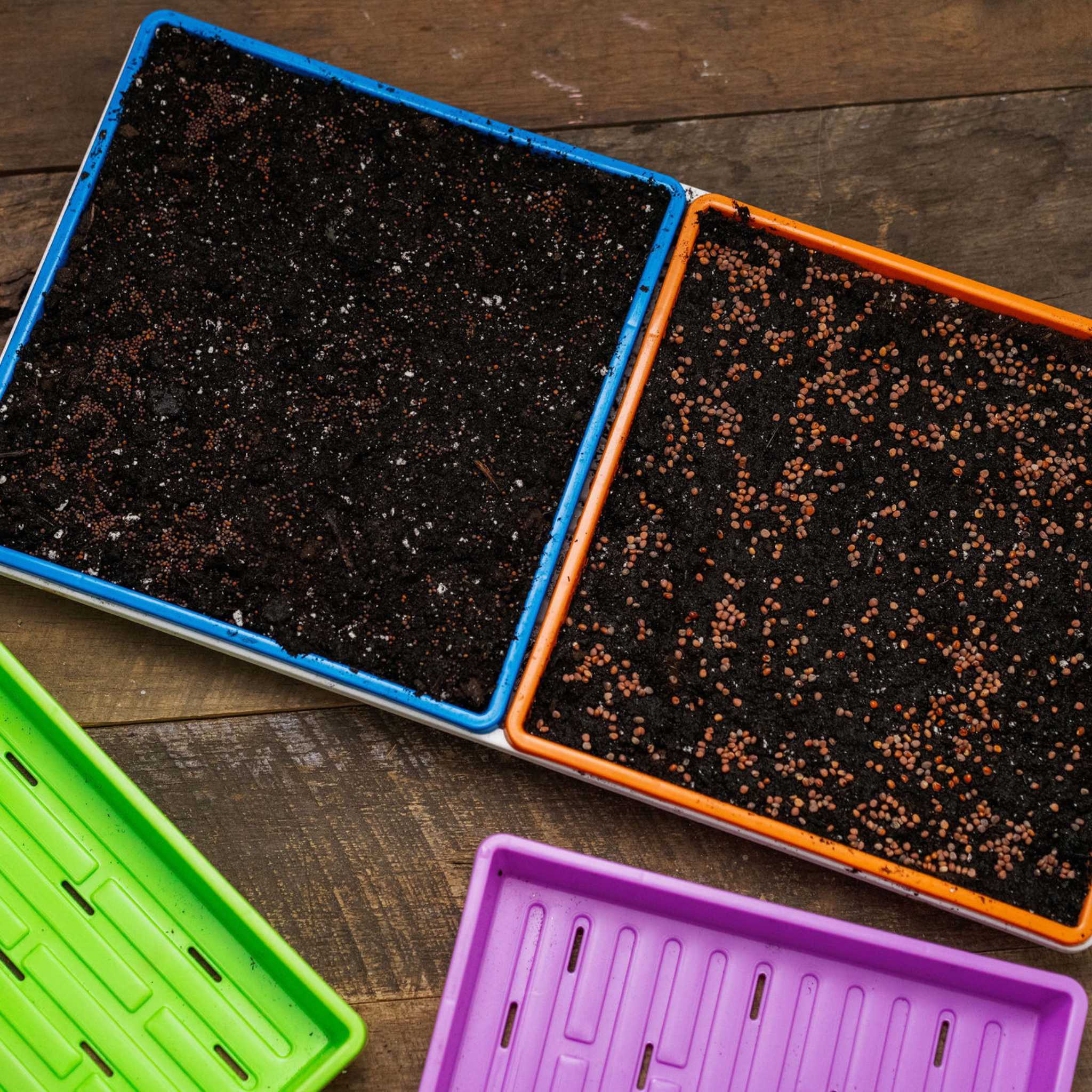 1010 Extra Strength Shallow Seed Trays - Image 4