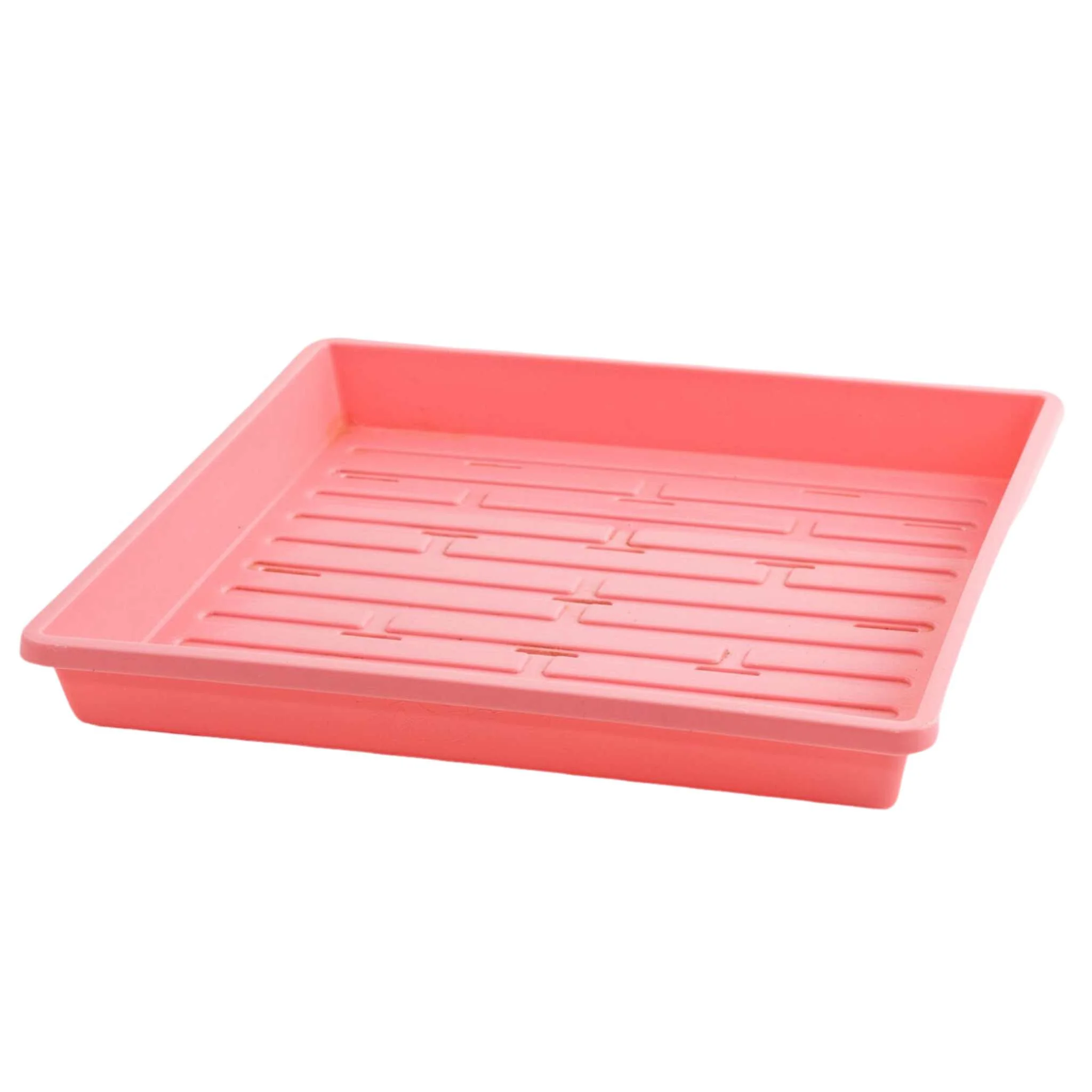 1010 Extra Strength Shallow Seed Trays - Image 5