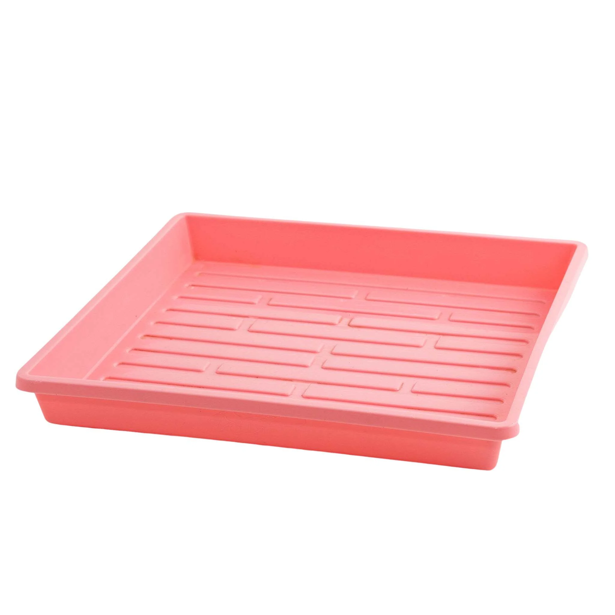 1010 Extra Strength Shallow Seed Trays - Image 6