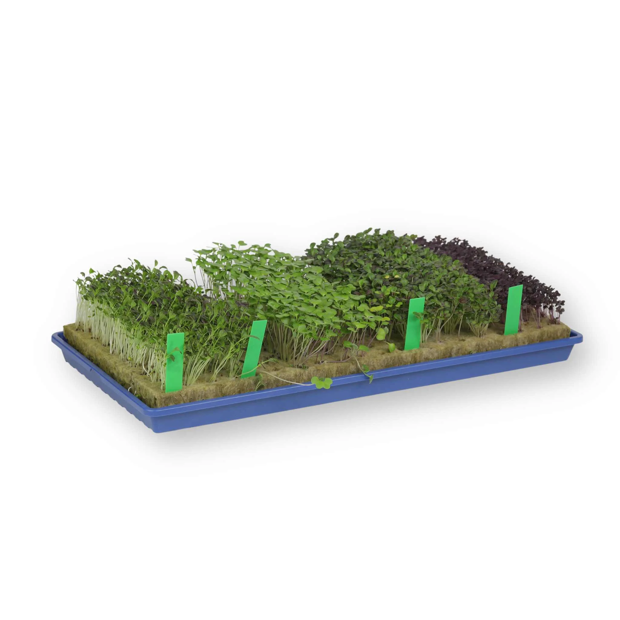 1020 Microgreen Trays - Shallow Extra Strength Heroes Collection - Image 9