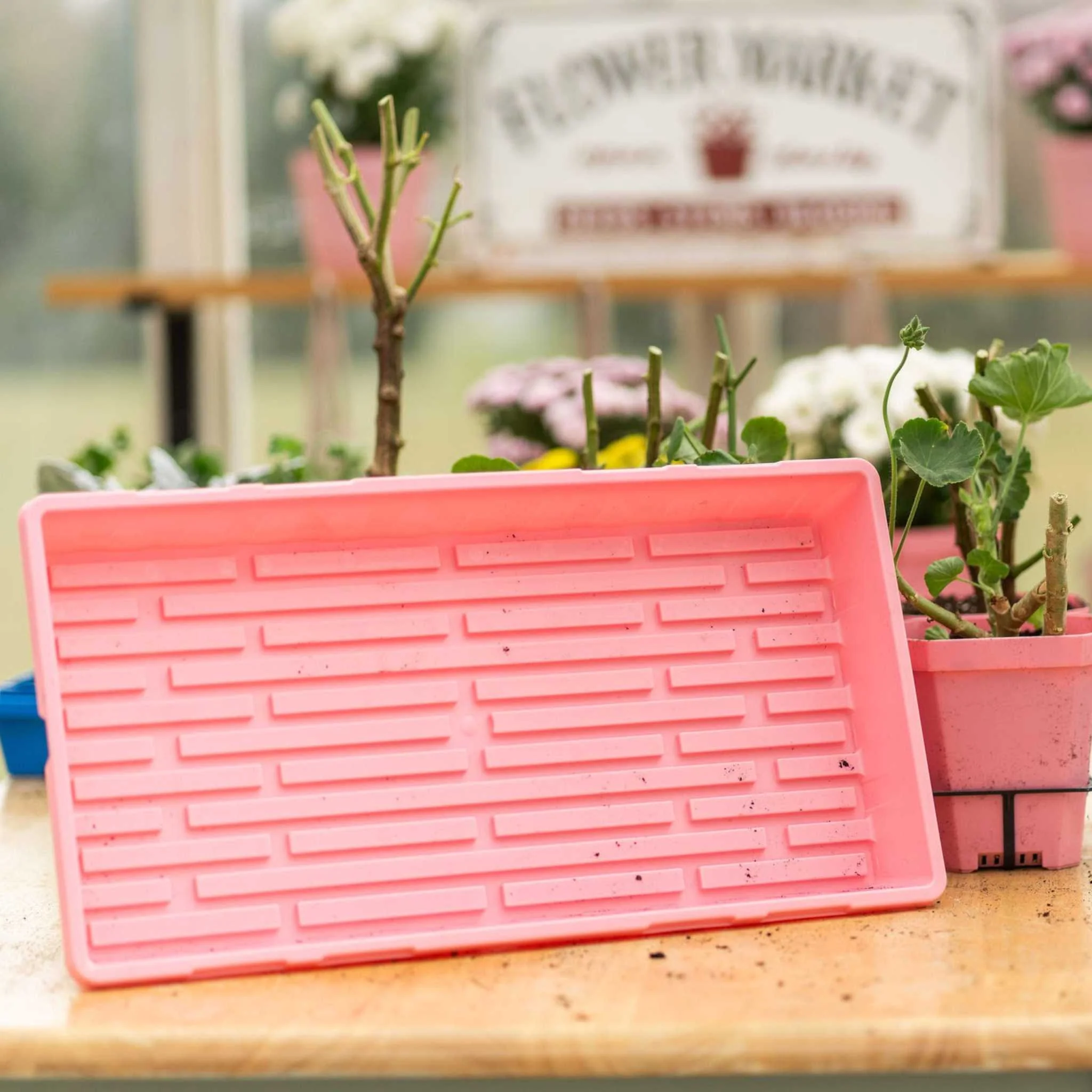 1020 Extra Strength Trays - Colors - Image 3