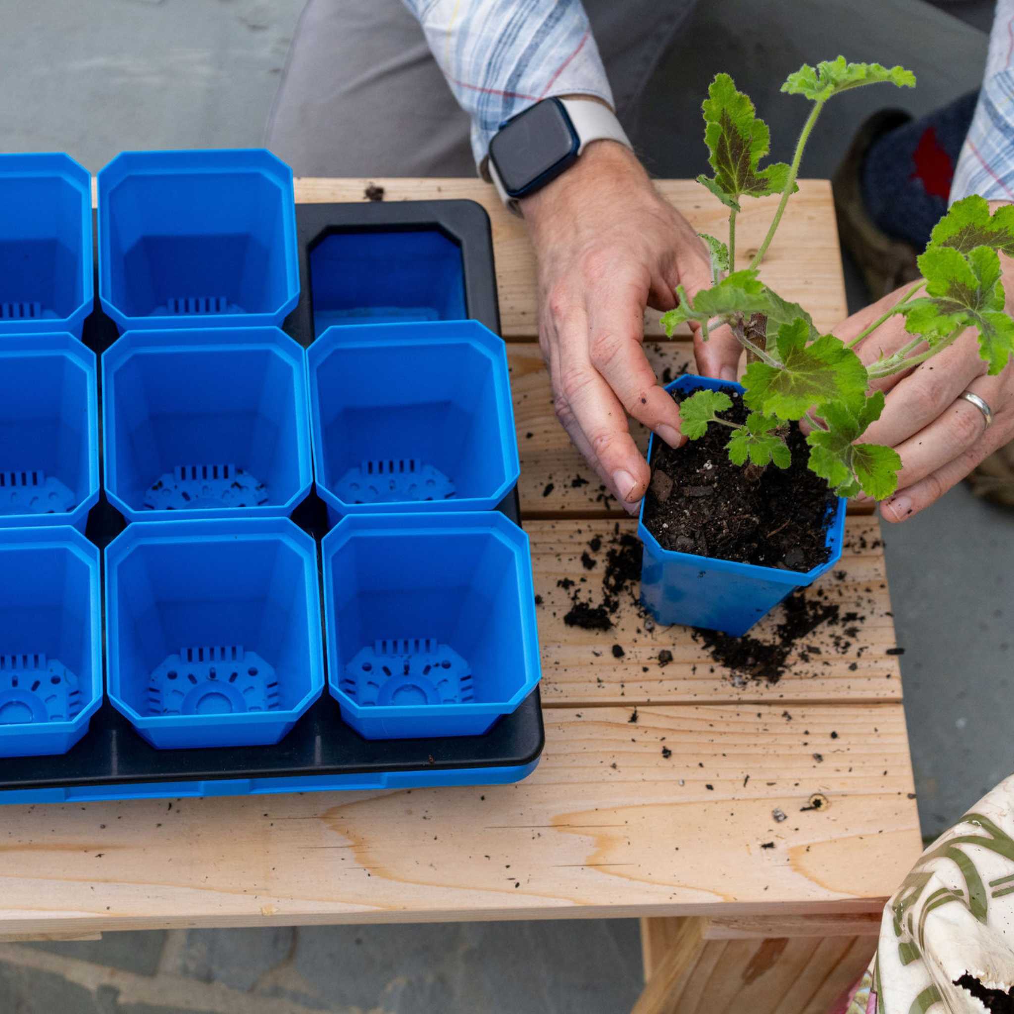 3.3" Heavy Duty Seed Starting Pots - Image 11