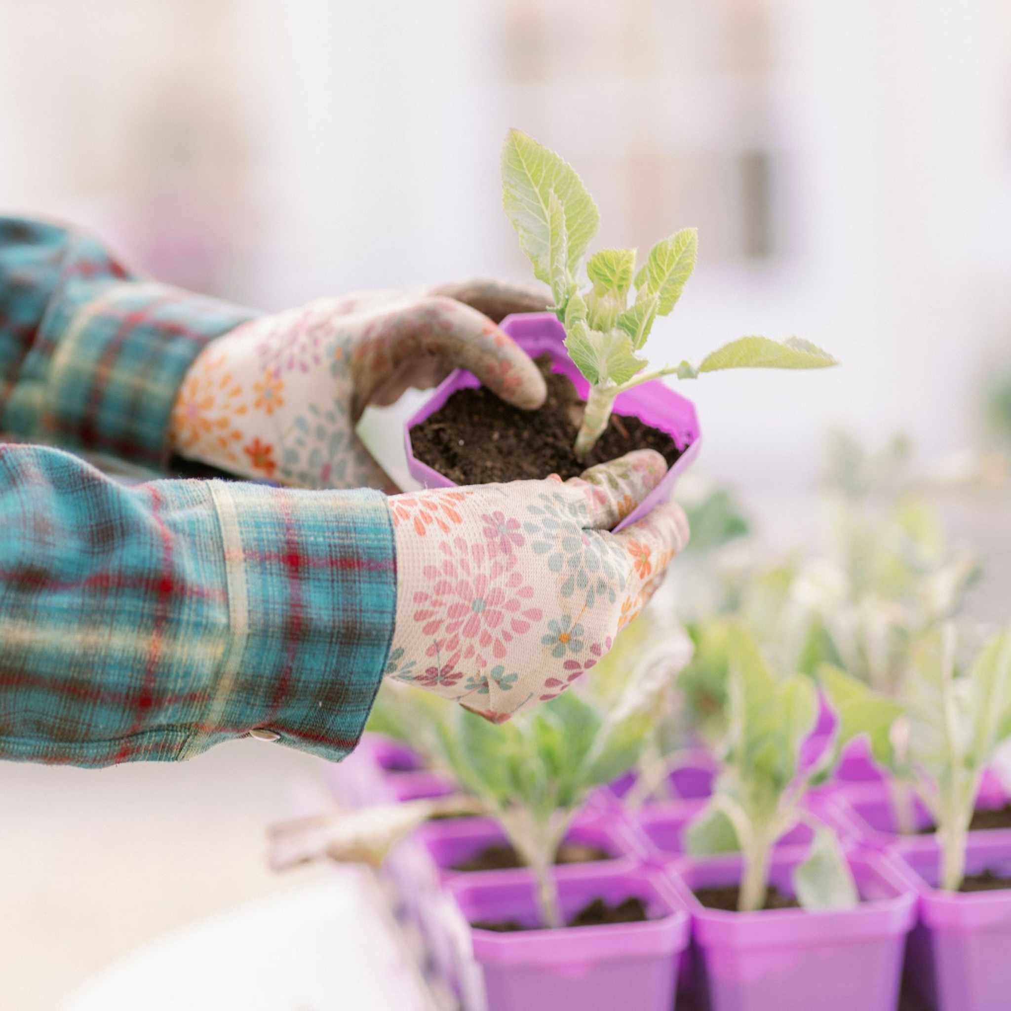3.3" Heavy Duty Seed Starting Pots - Image 14