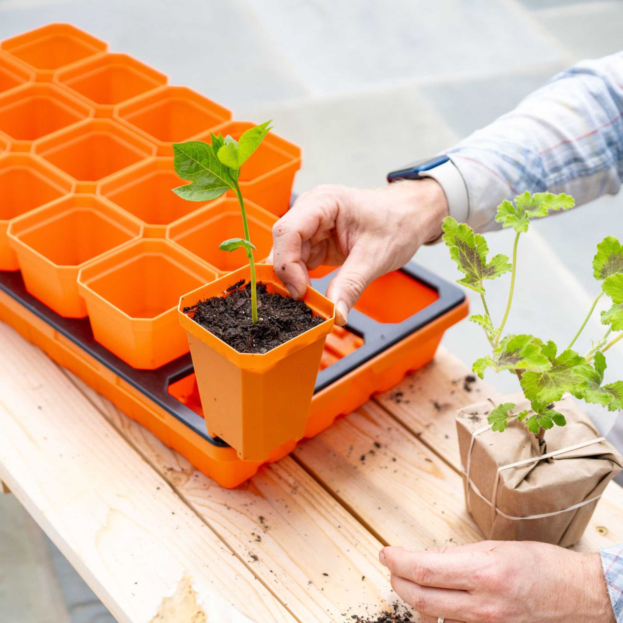3.3" Heavy Duty Seed Starting Pots - Image 17