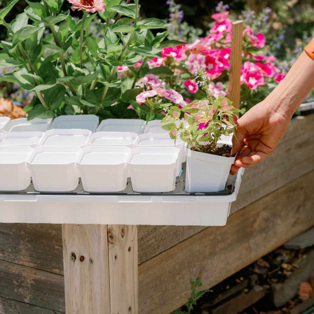 3.3" Heavy Duty Seed Starting Pots with Inserts - Image 27