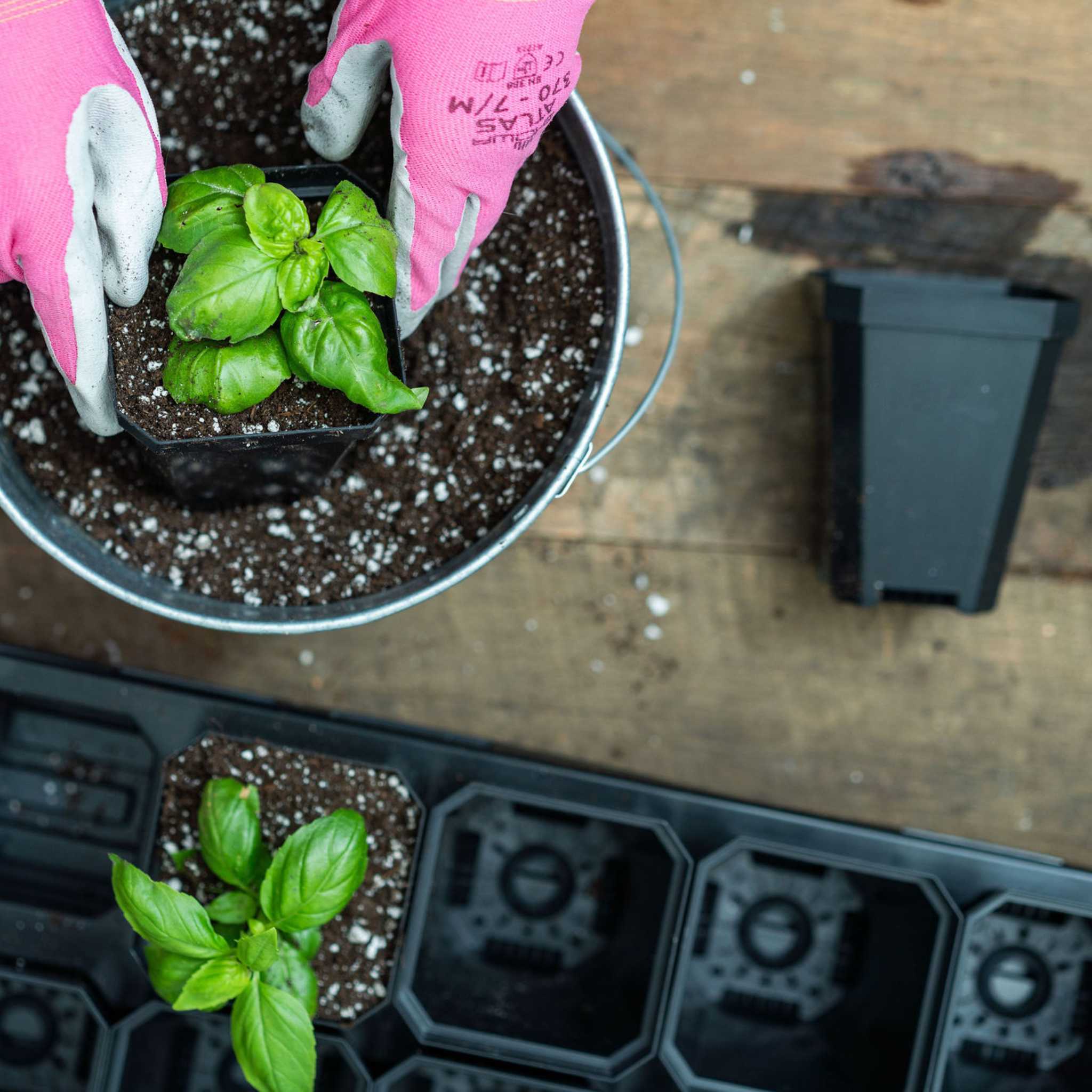 3.3" Heavy Duty Seed Starting Pots with Inserts - Image 5
