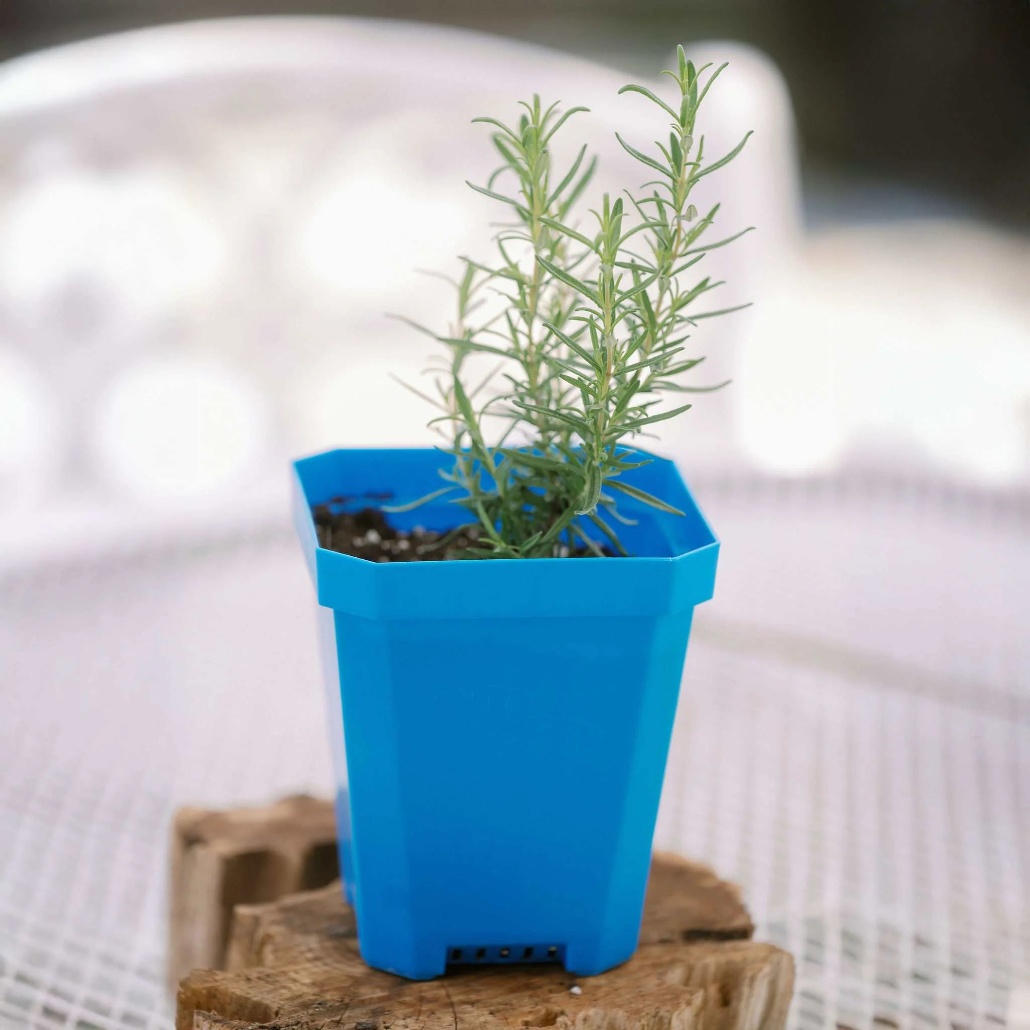 5" Heavy Duty Nursery Pots - Image 11