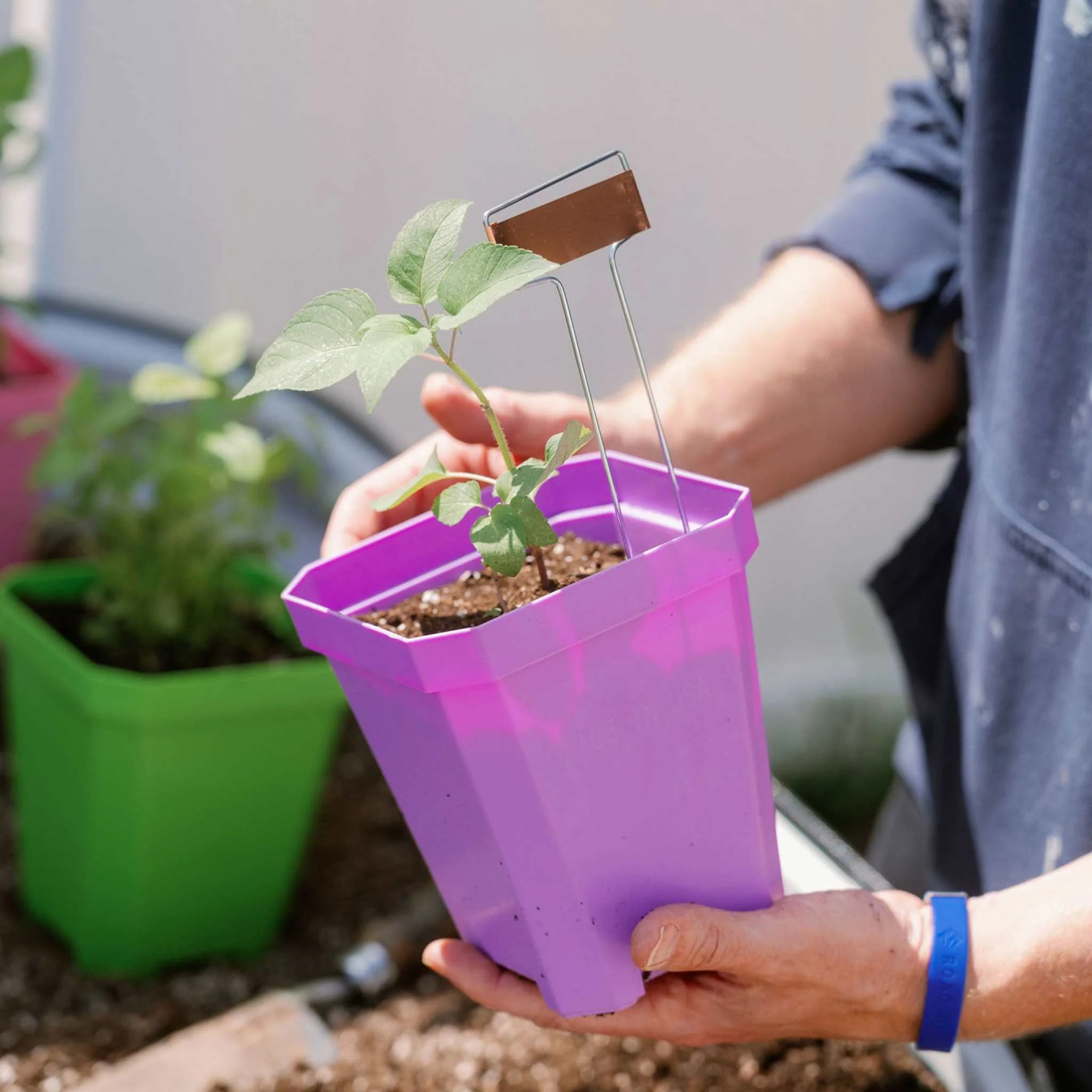 5" Heavy Duty Nursery Pots - Image 18