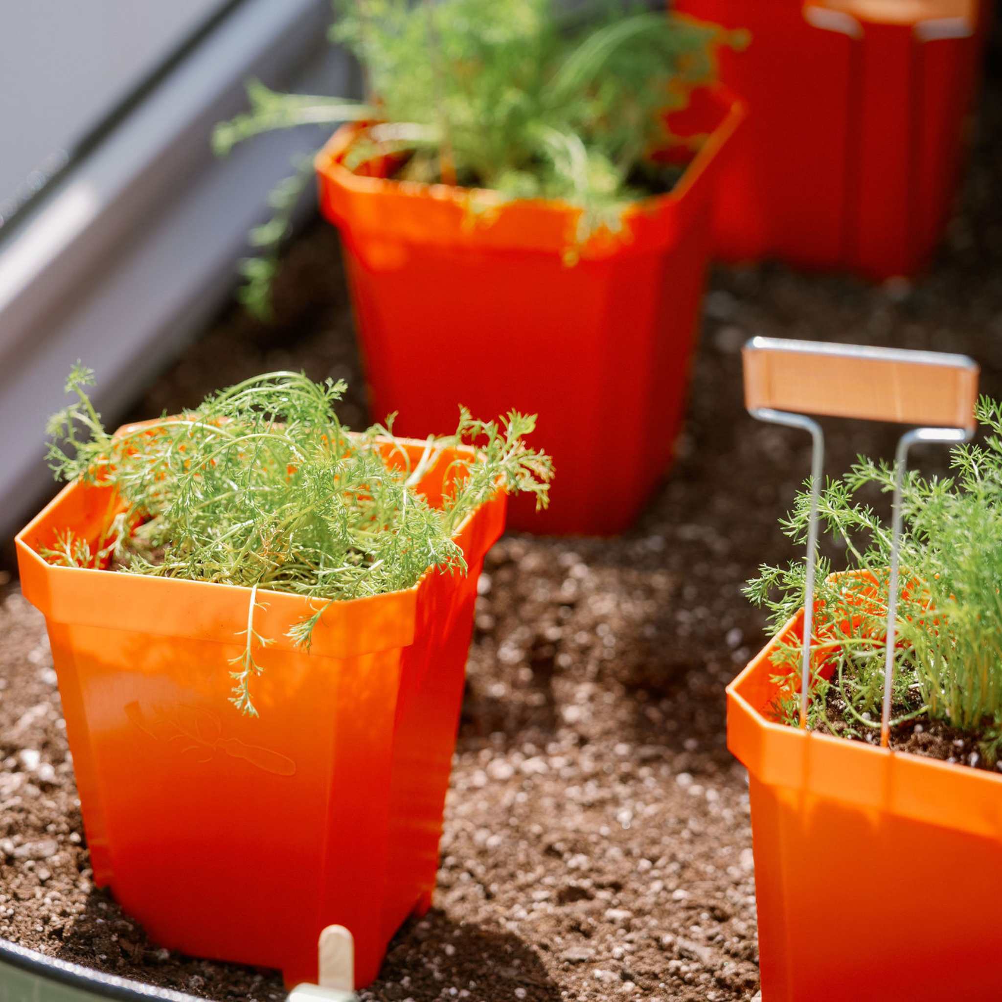 5" Heavy Duty Nursery Pots - Image 21