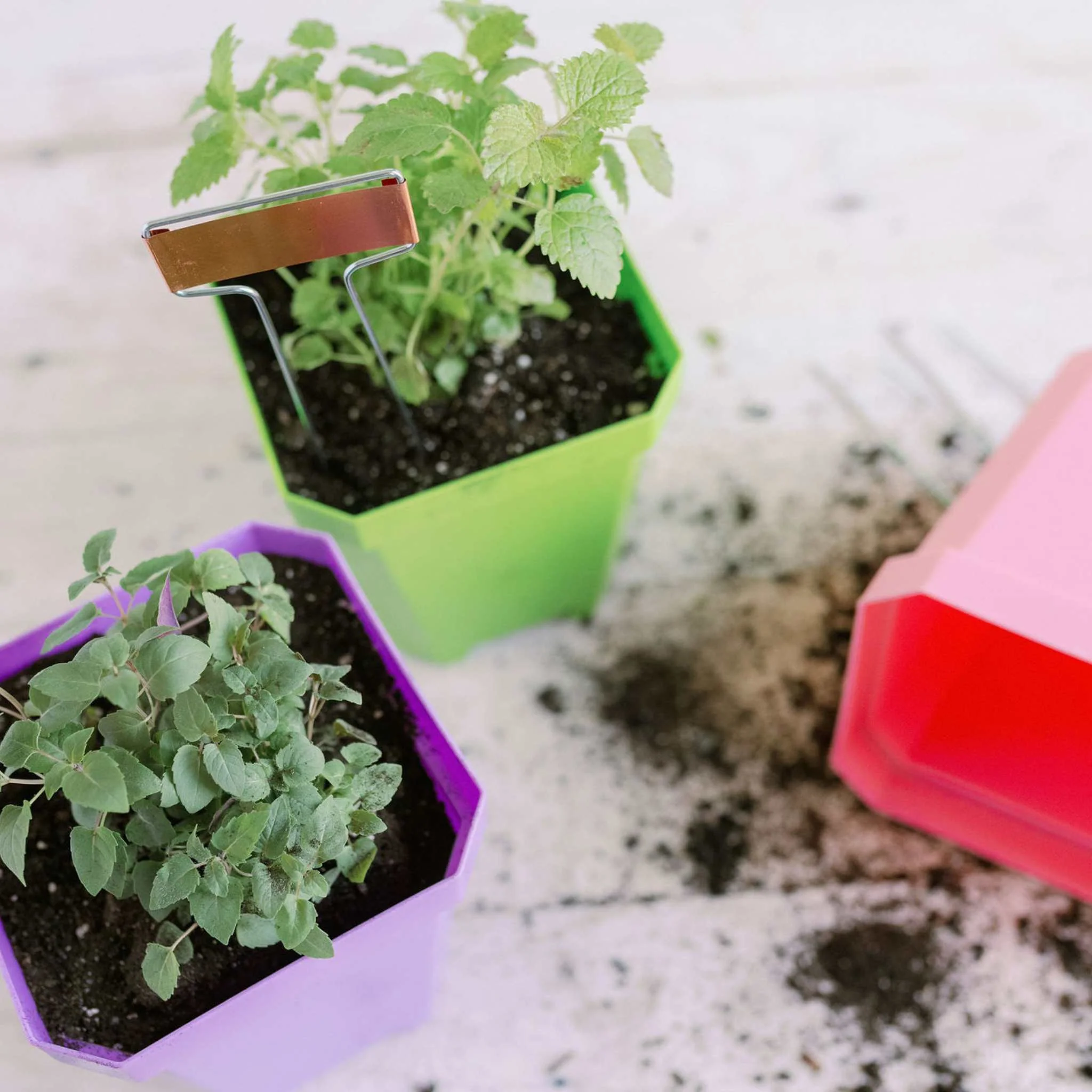 5" Heavy Duty Nursery Pots - Image 3