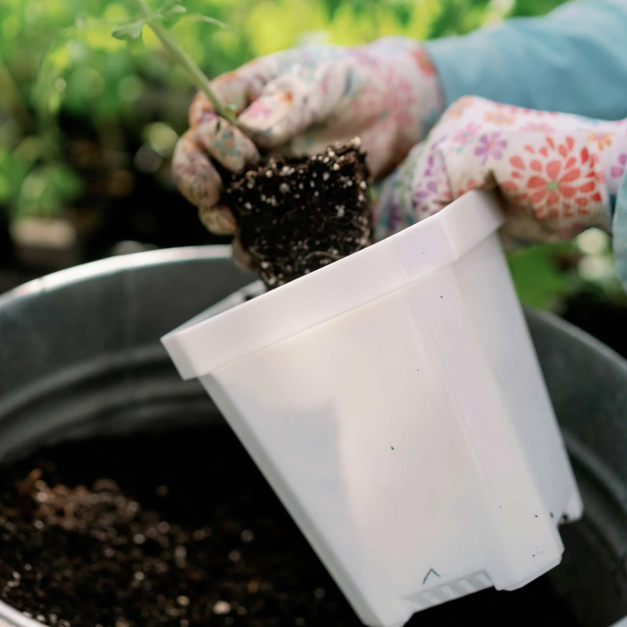 5" Heavy Duty Nursery Pots - Image 36