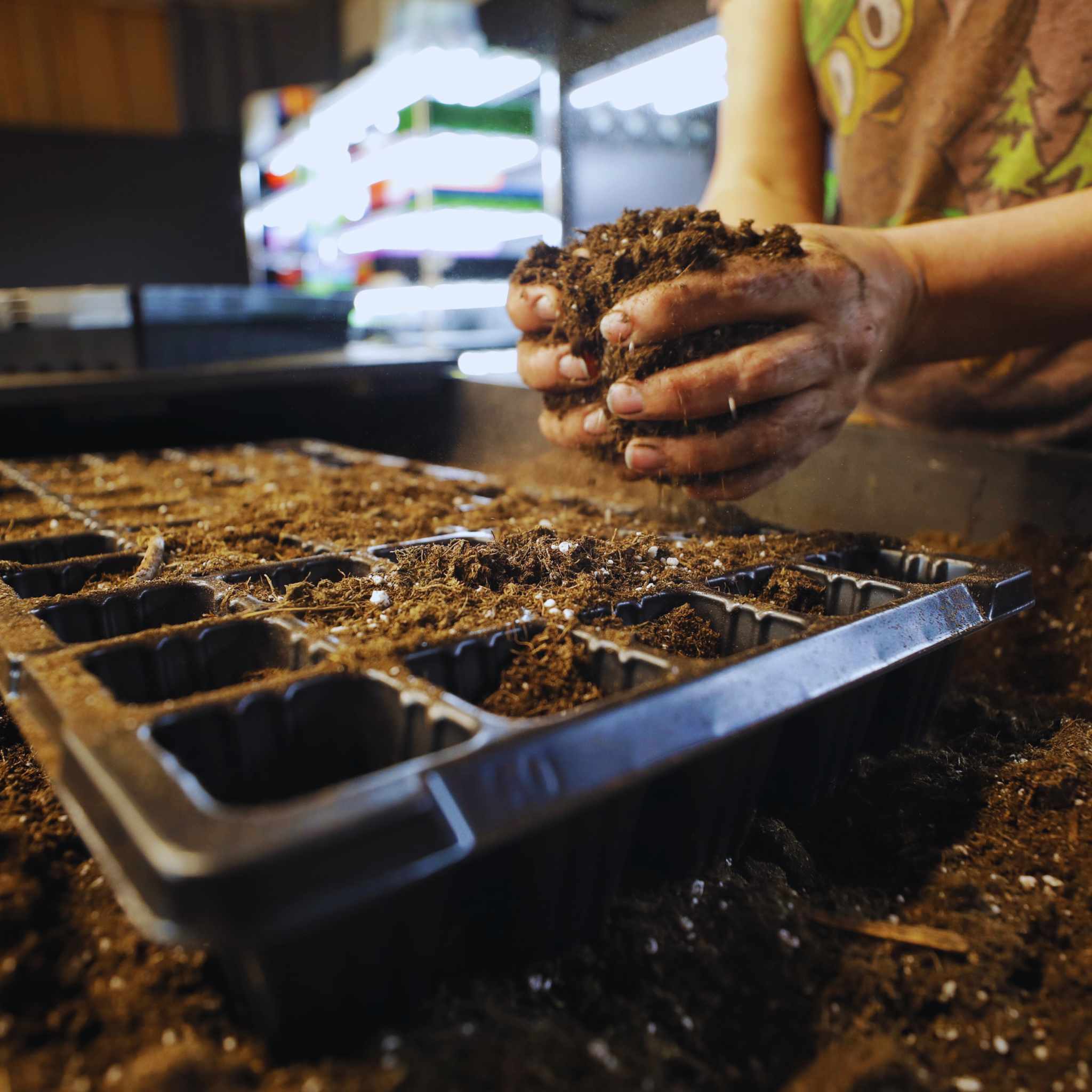 50 Cell Seed Planting Trays - Image 4