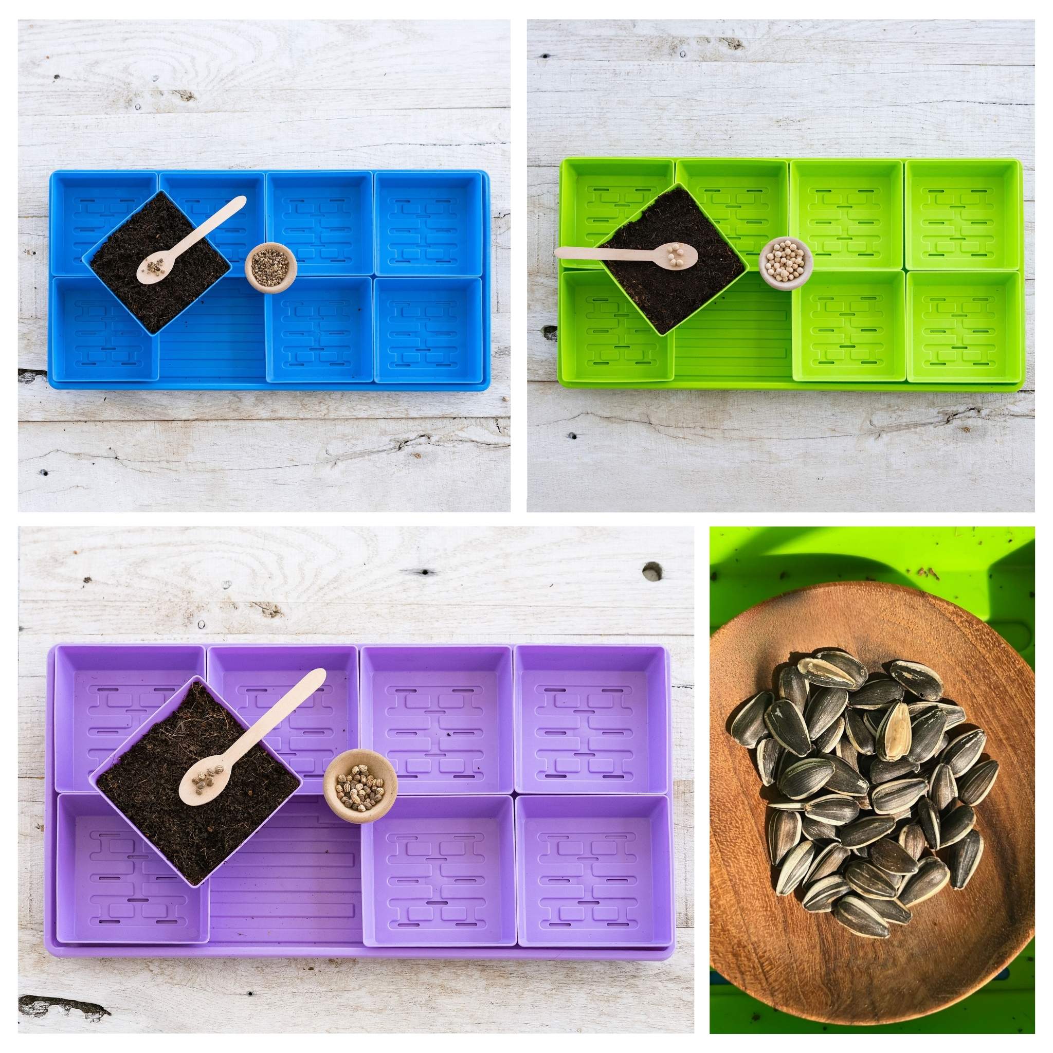 5x5 Microgreens Kit - Image 6