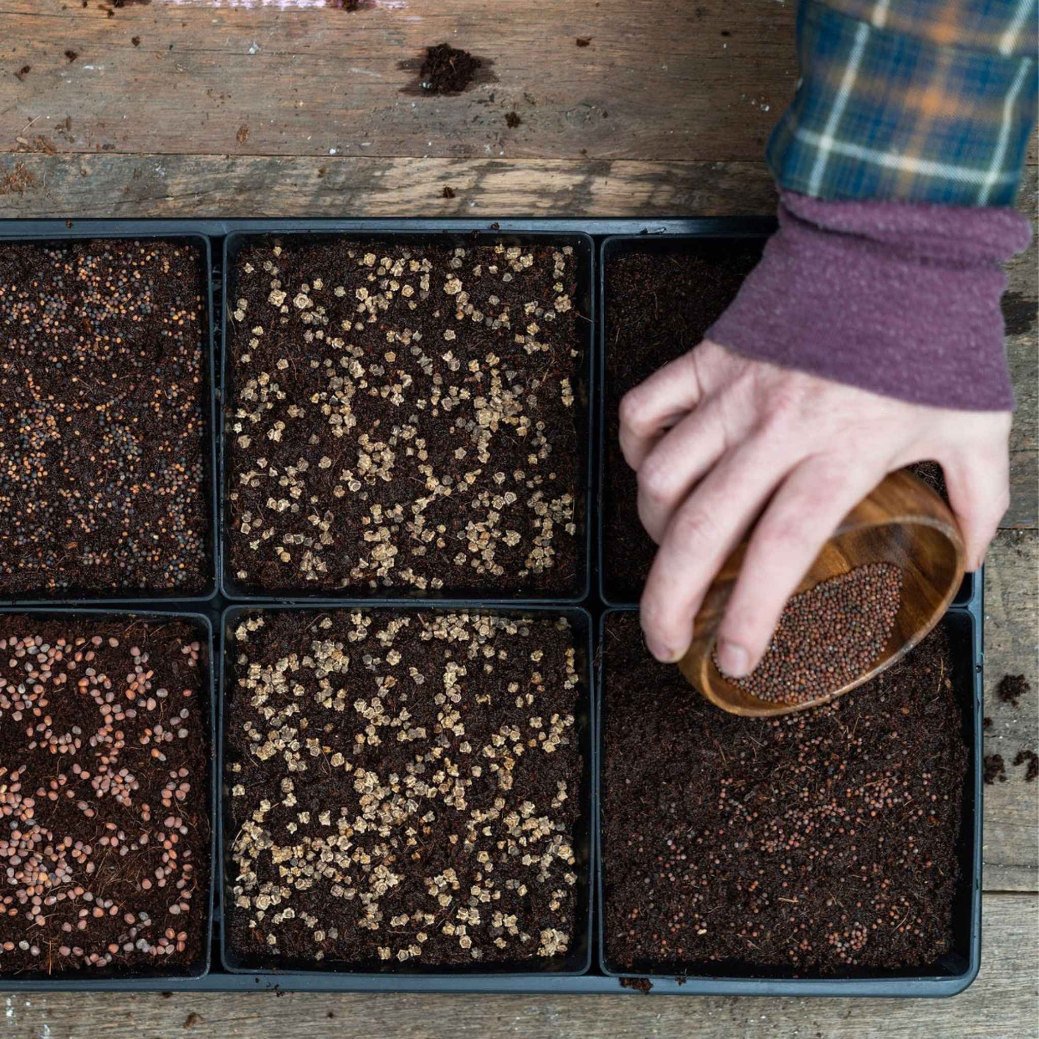 5X5 Extra Strength Shallow Microgreen Trays - Image 19