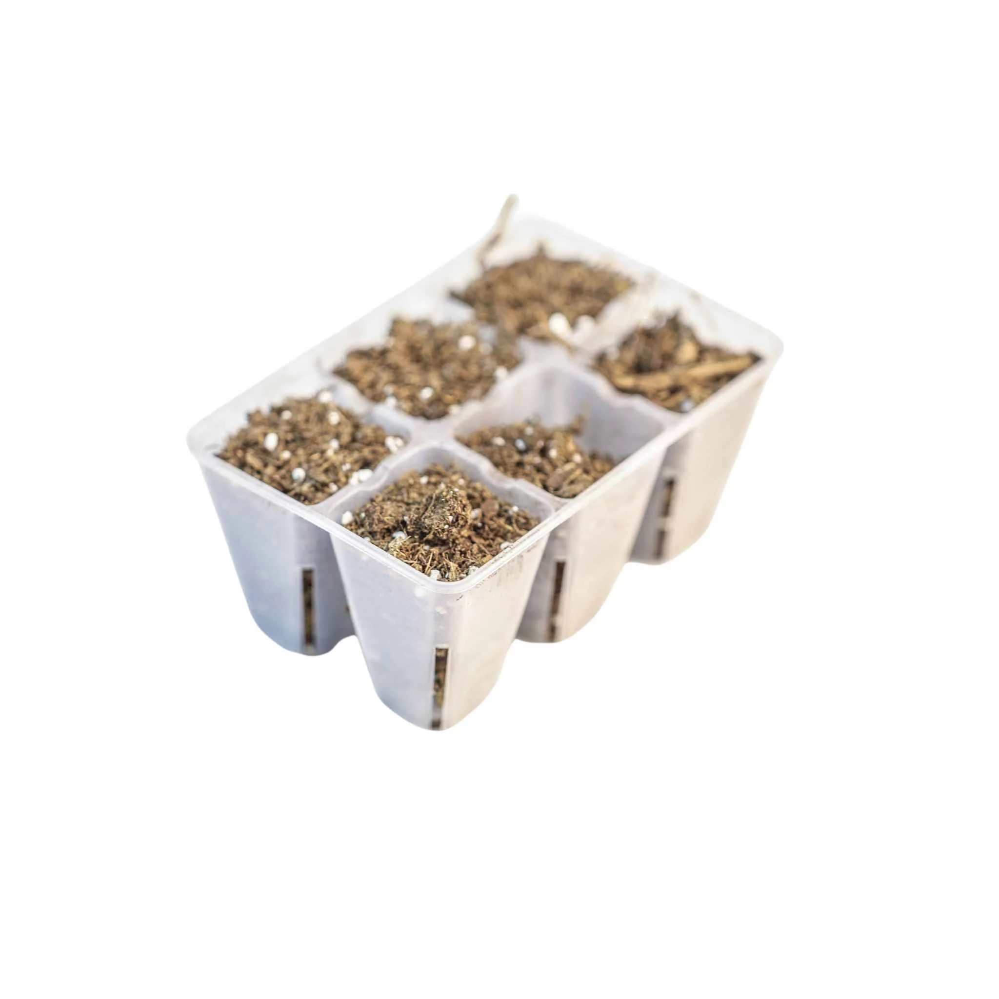 6 Cell Plug Tray Inserts - Image 17