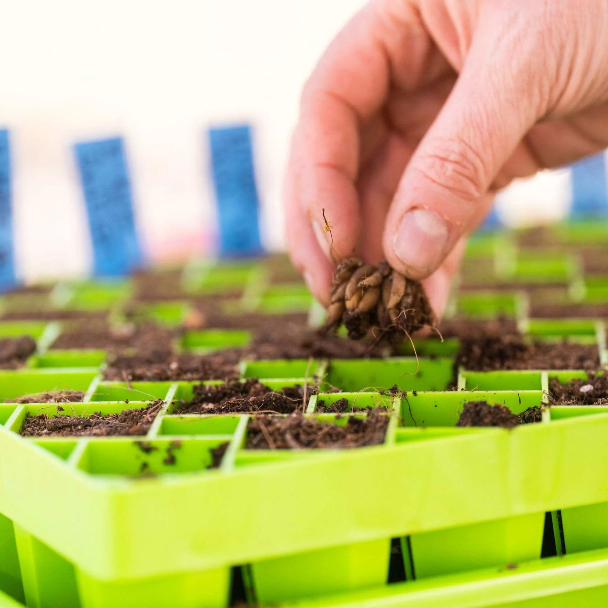 Air Prune Heavy Duty Propagation Tray - 72 Cell - Image 13