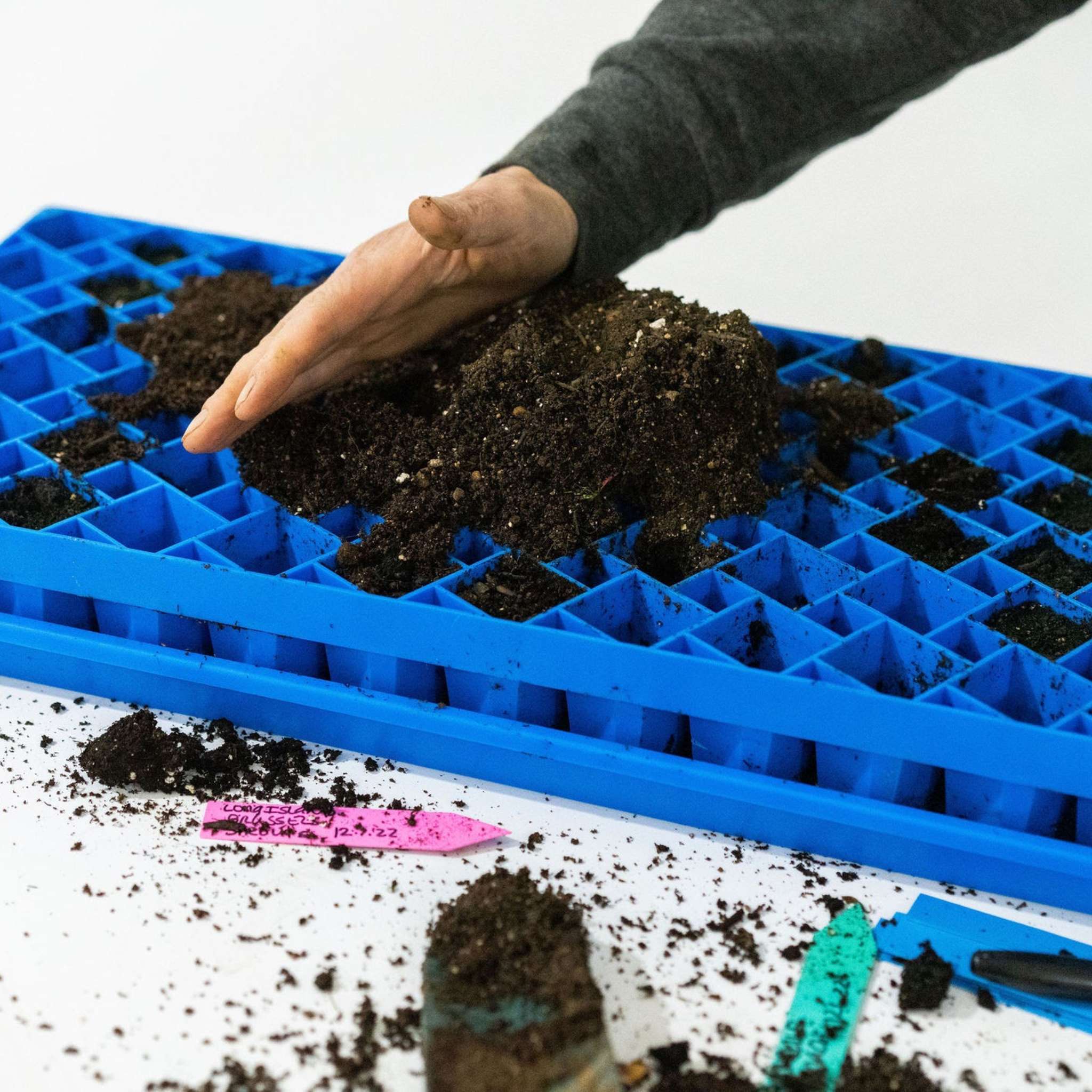 Air Prune Heavy Duty Propagation Tray - 72 Cell - Image 22