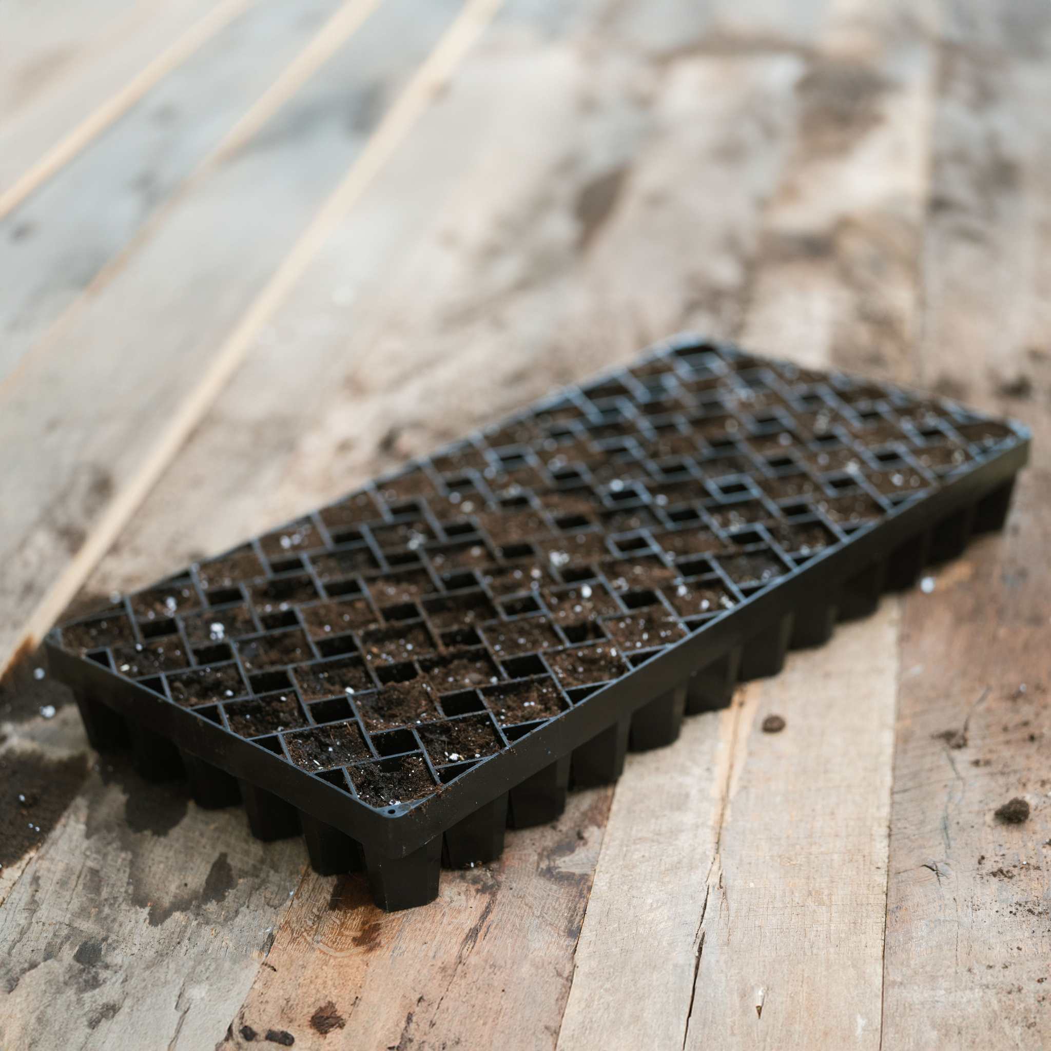 Air Prune Heavy Duty Propagation Tray - 72 Cell - Image 24