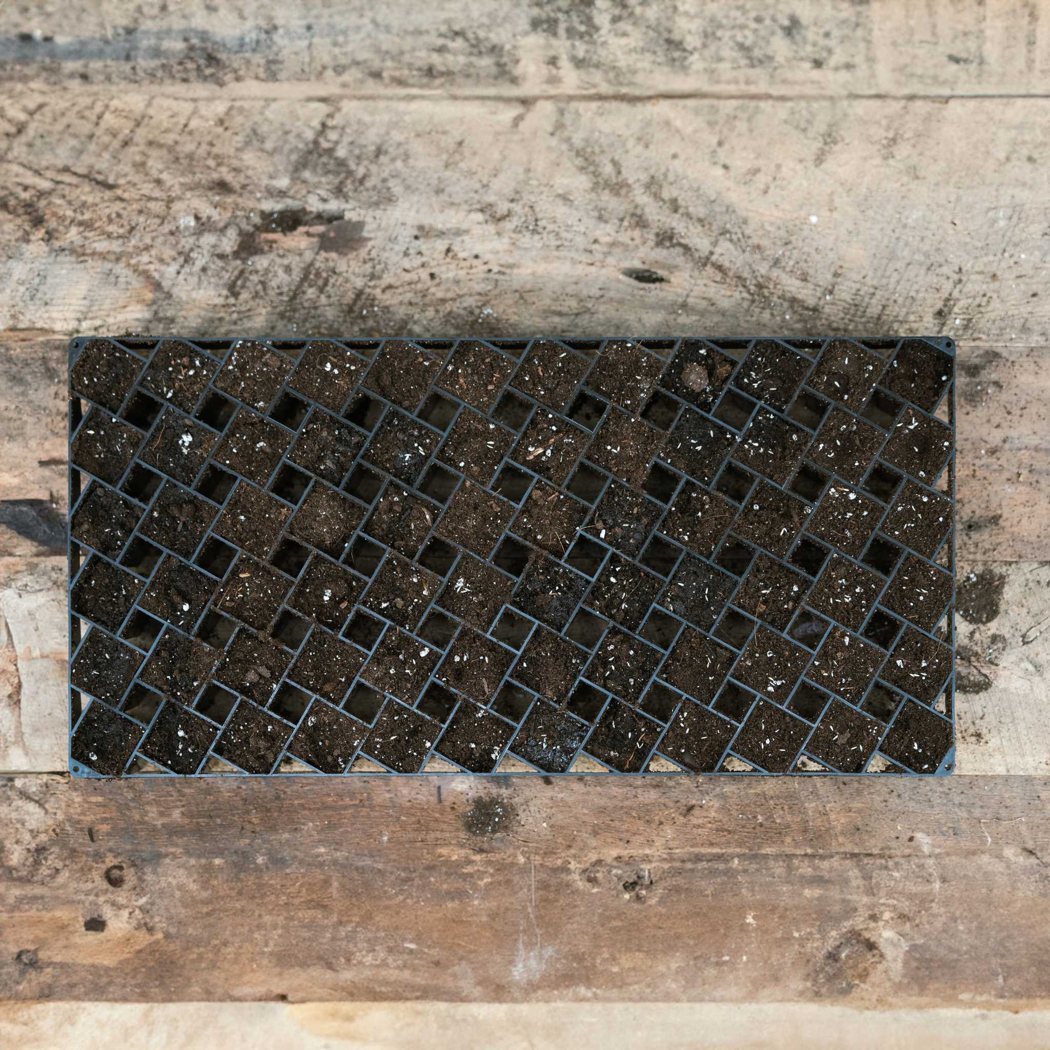 Air Prune Heavy Duty Propagation Tray - 72 Cell - Image 26