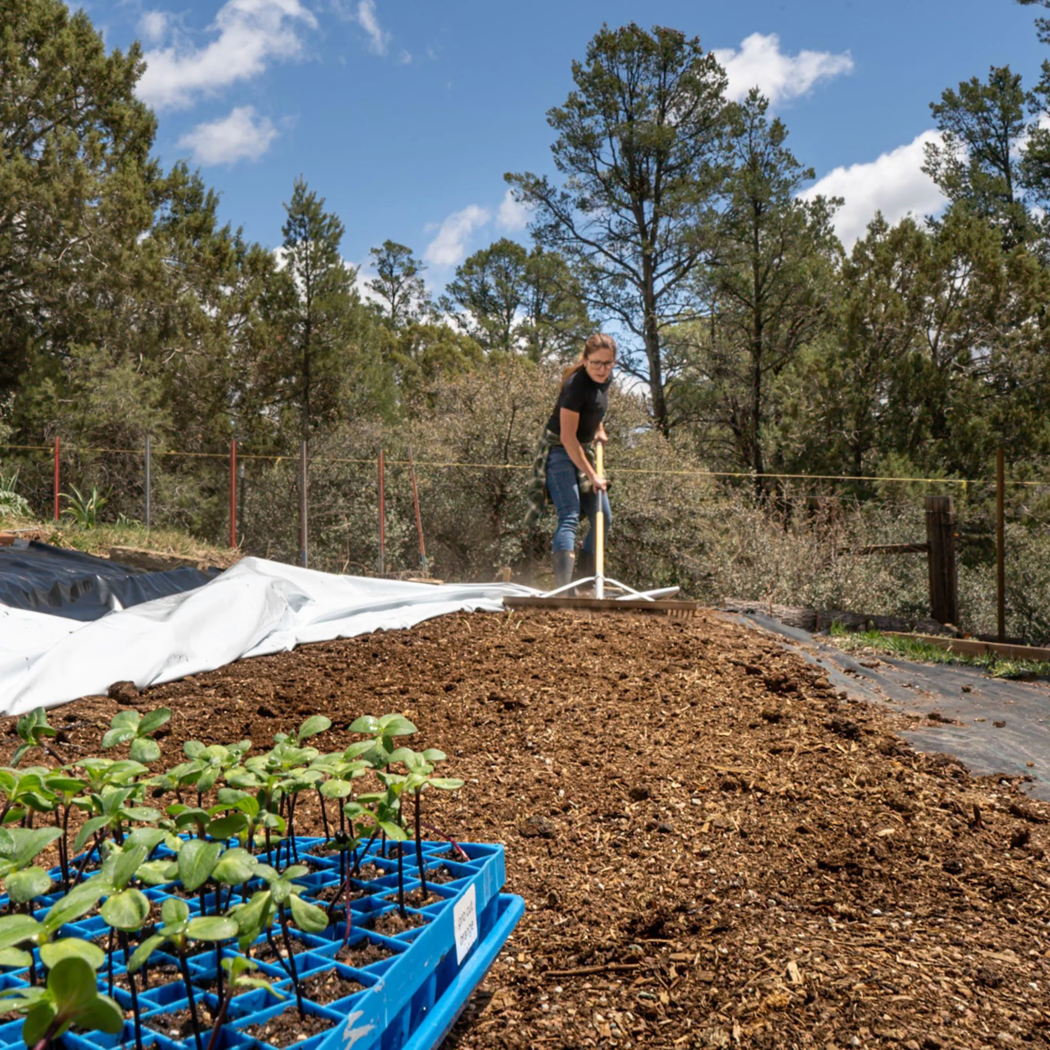 Silage Tarp - 6 mil Reversible Black & White - Image 4