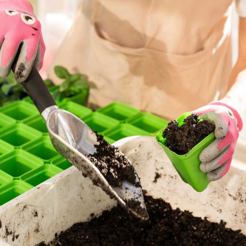 Classroom Seed Starting Bundle - Image 10