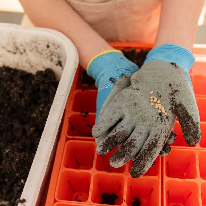 Classroom Seed Starting Bundle - Image 3