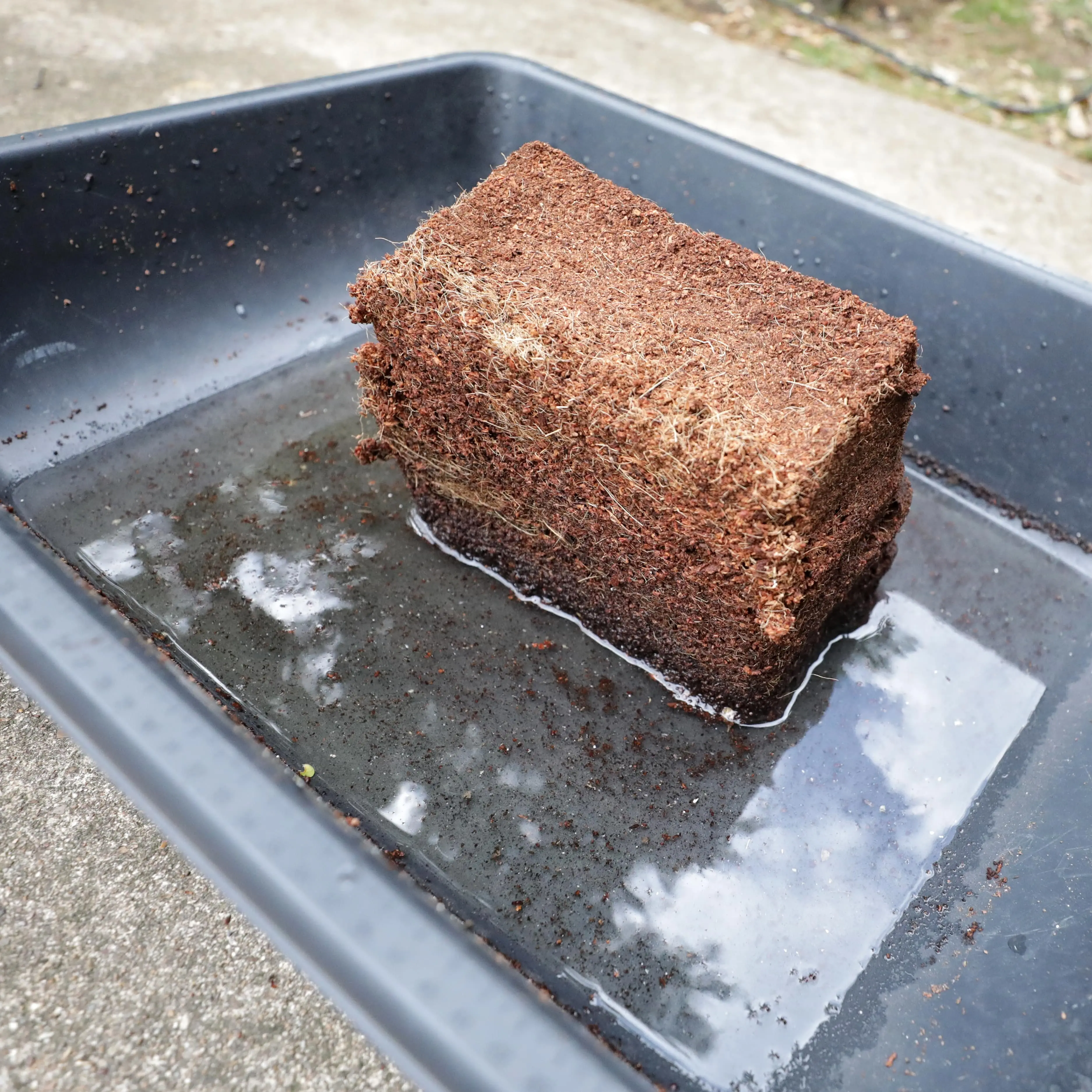 Coco Coir Brick - Image 6