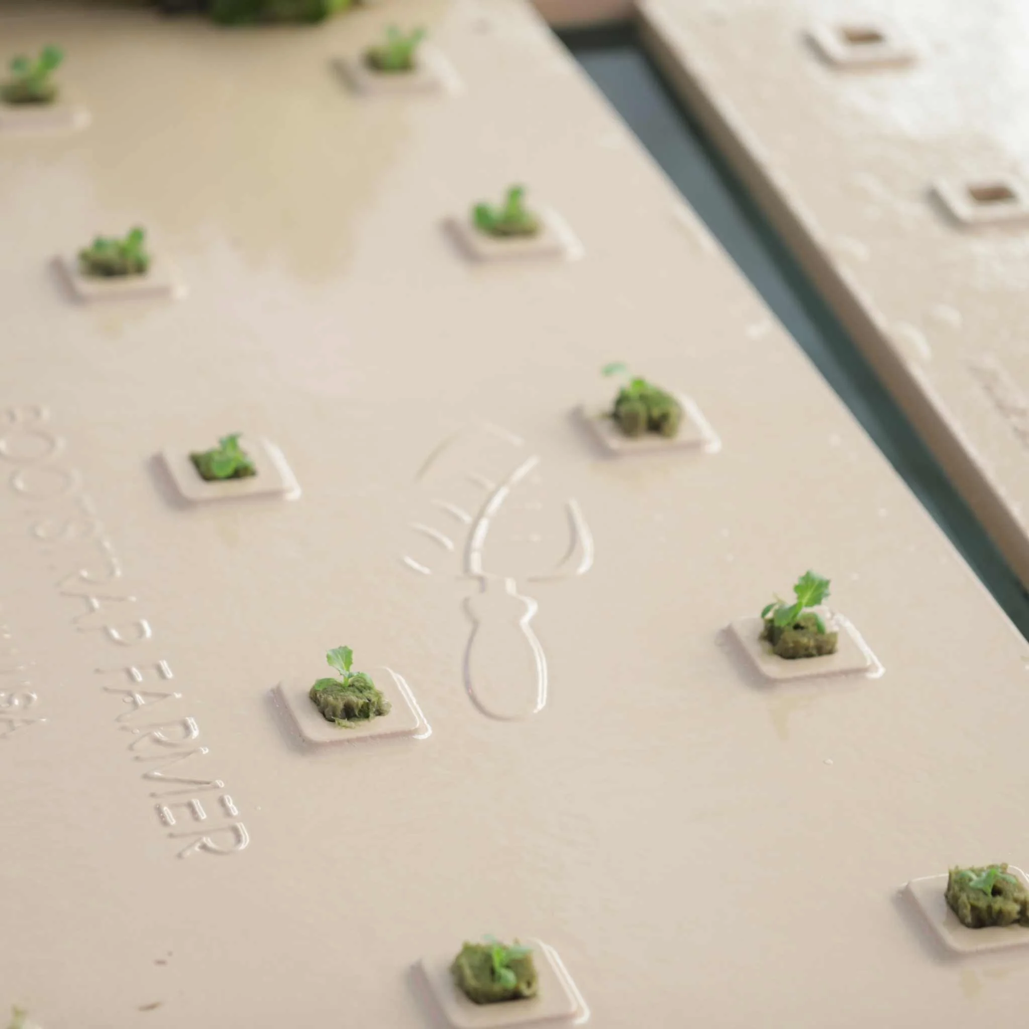 Deep Water Greens Raft - Image 5