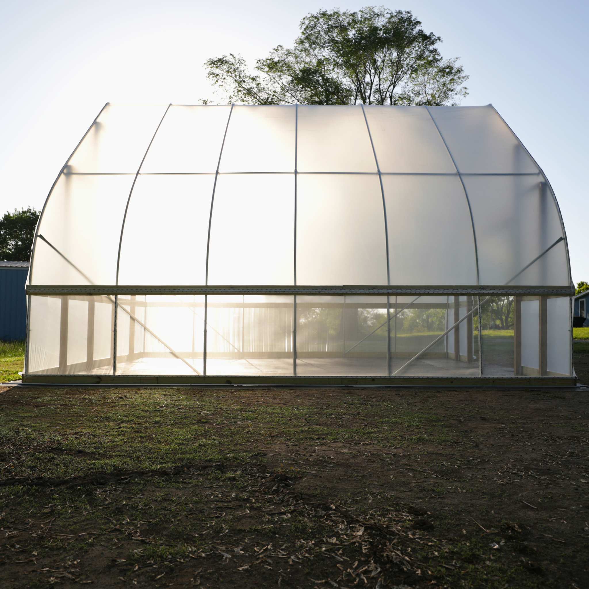 DIY Gothic Greenhouse Kit - Image 5