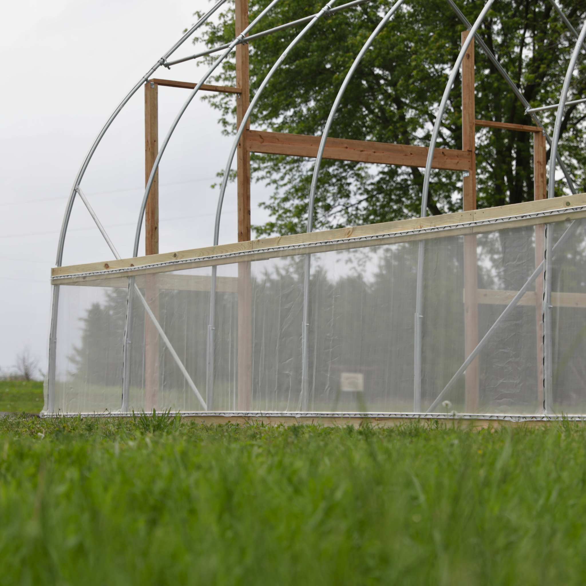 DIY Gothic Greenhouse Kit - Image 7