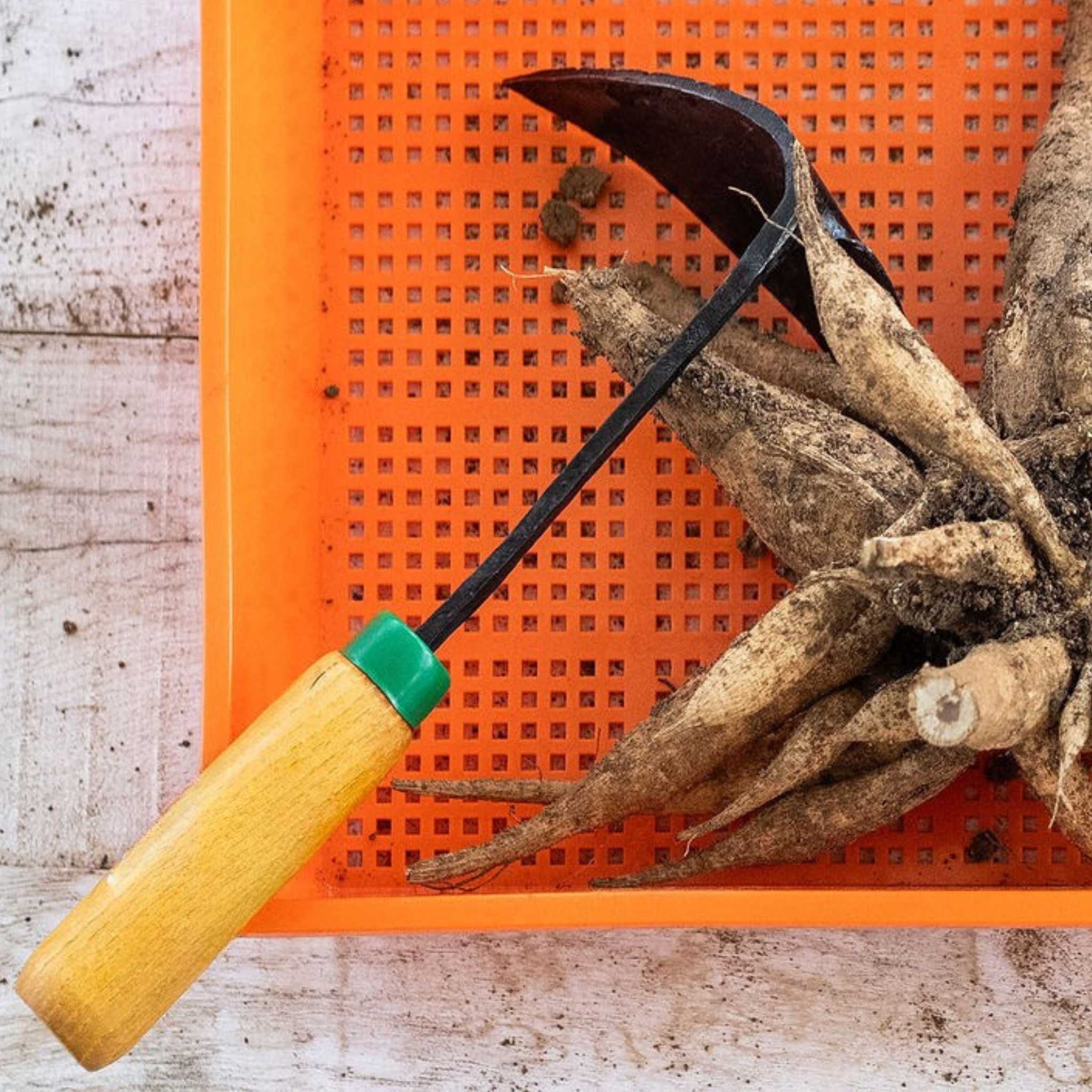 EZ-Digger Garden Tool Short Handle | 7 inch Blade - Image 4