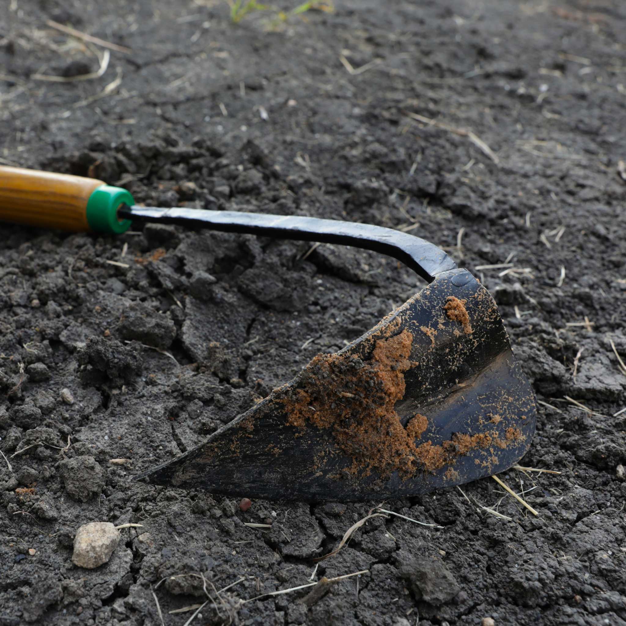 Ez-Digger Korean Triangle Blade | Short Handle - Image 4