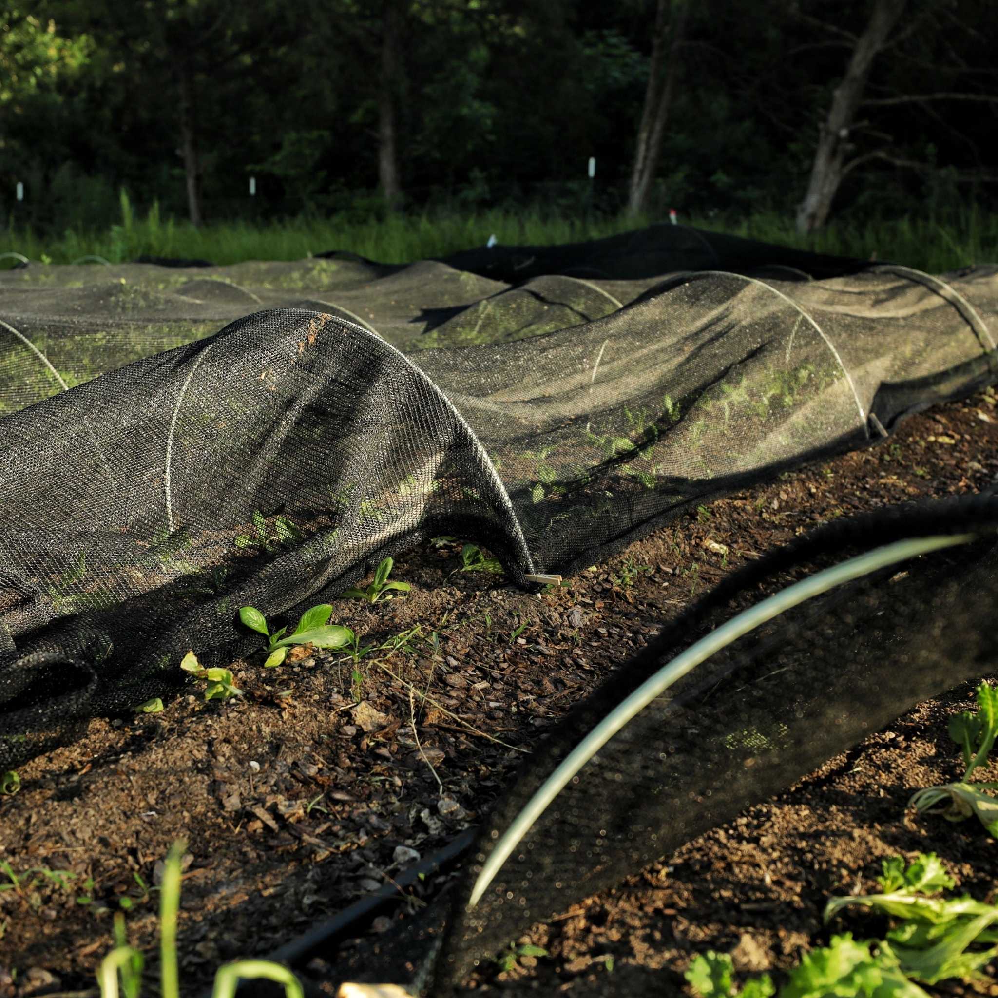 Greenhouse Shade Cloth - 50% Black - Image 3