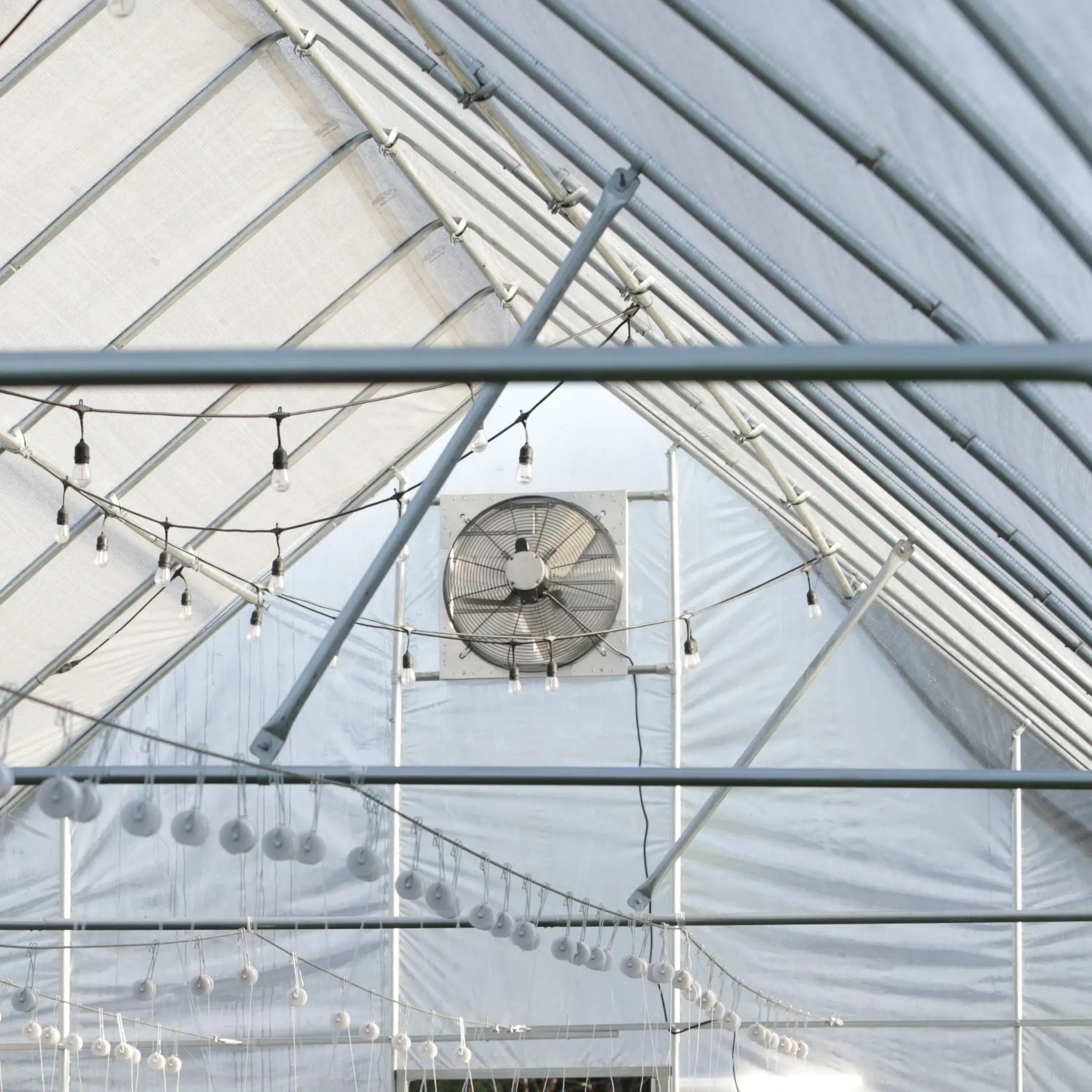 Greenhouse Shutter Mount Exhaust Fans - Image 3