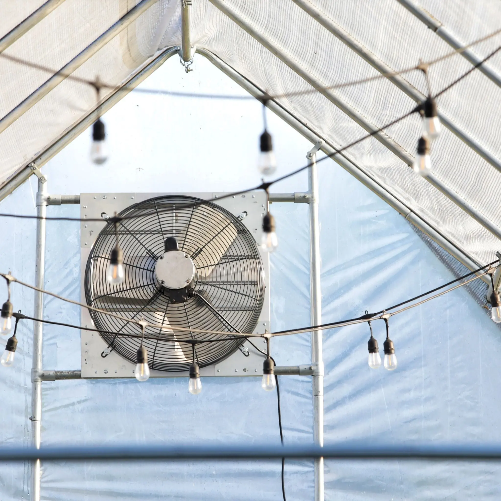 Greenhouse Shutter Mount Exhaust Fans - Image 4