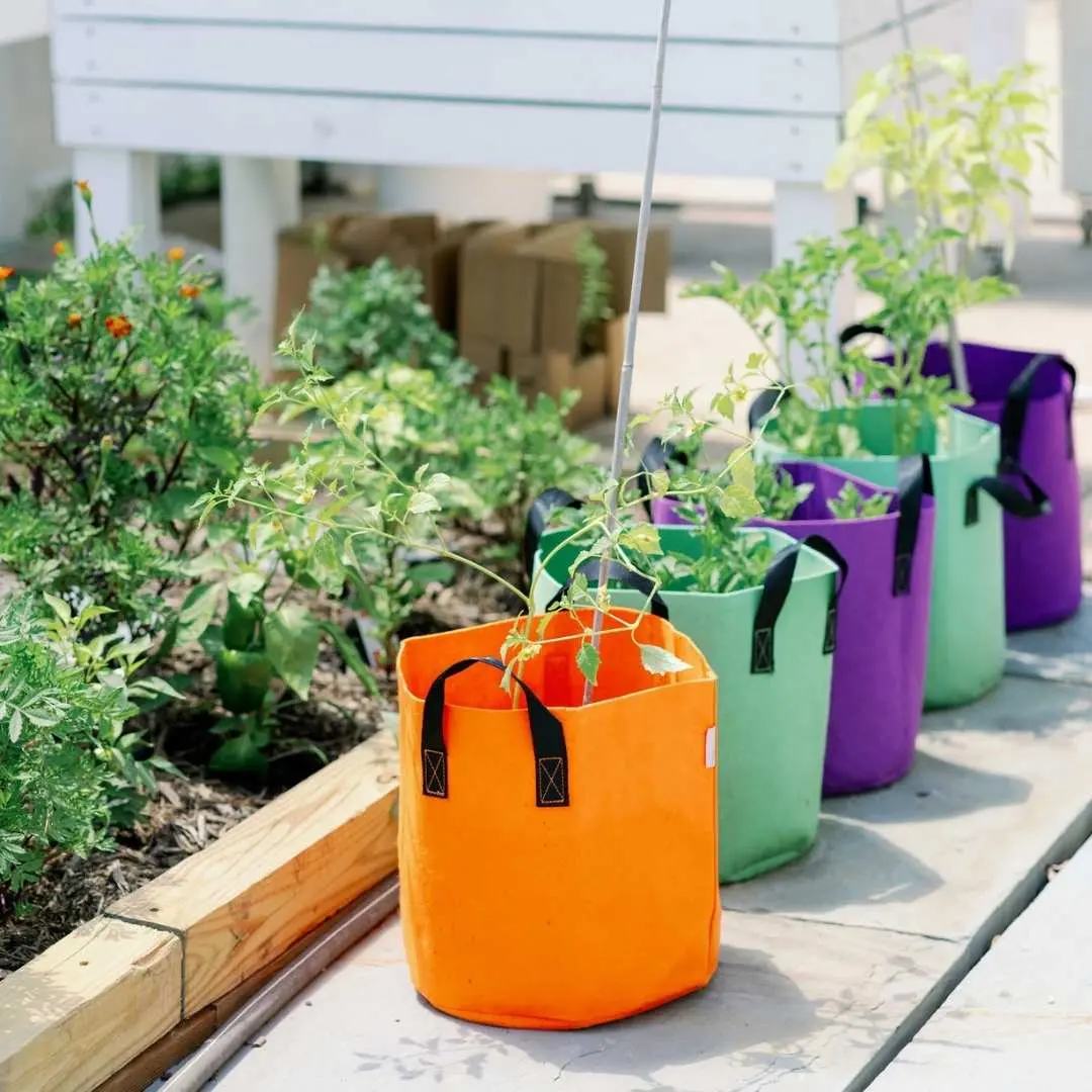 Grow Bags - 7 Gallon Colored Fabric Pots - Image 12