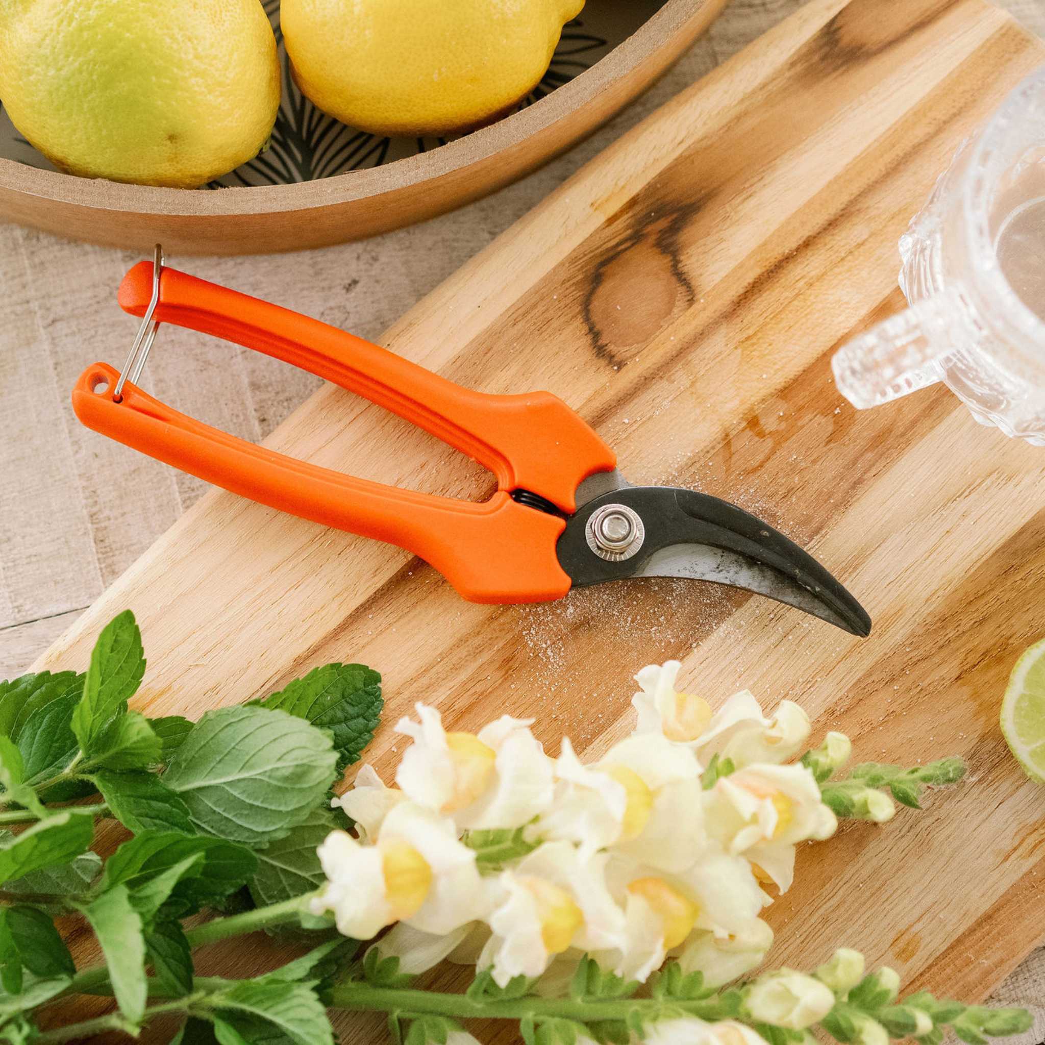 Harvesting Pruning Shears | 185 mm - Image 5