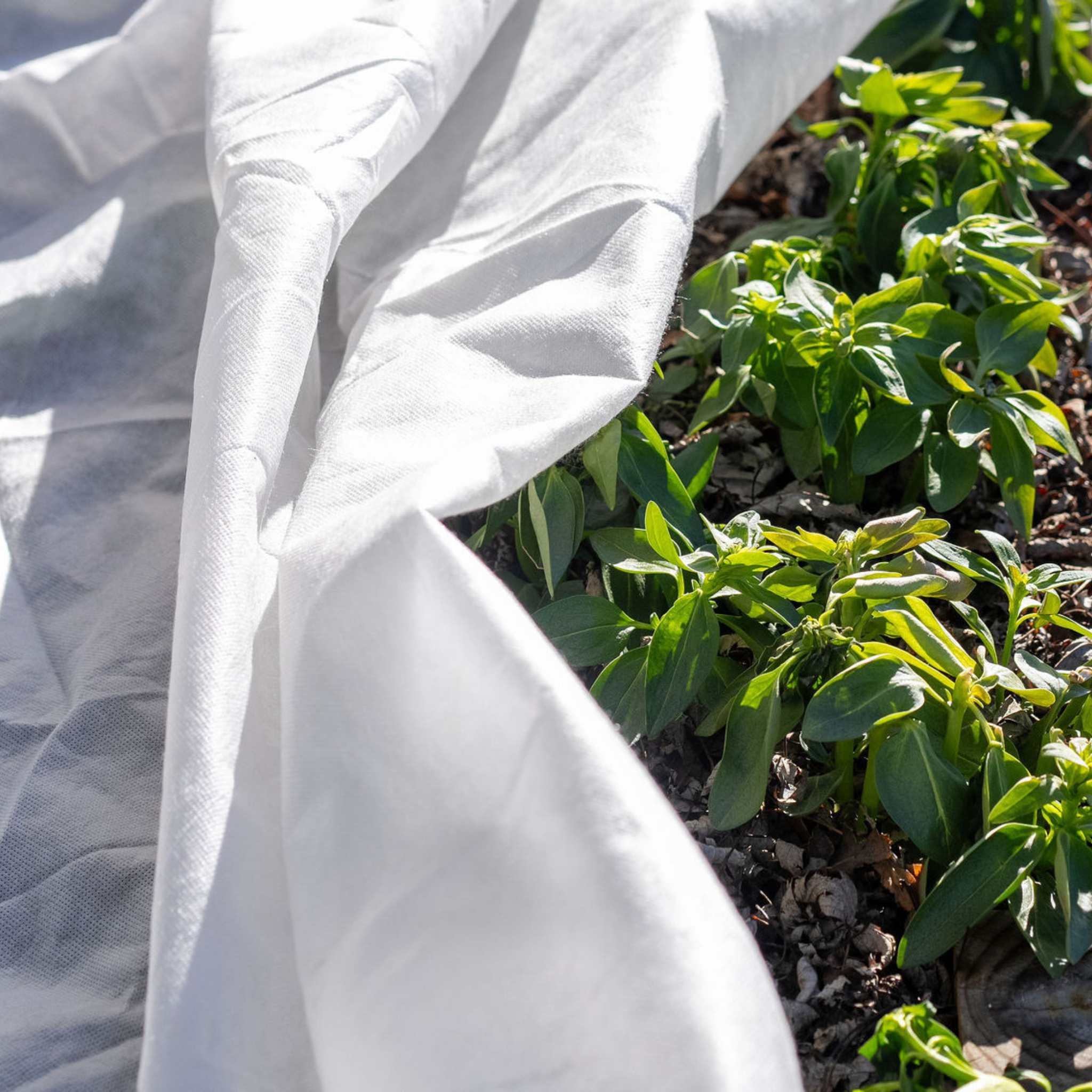 Frost Blankets - Image 4