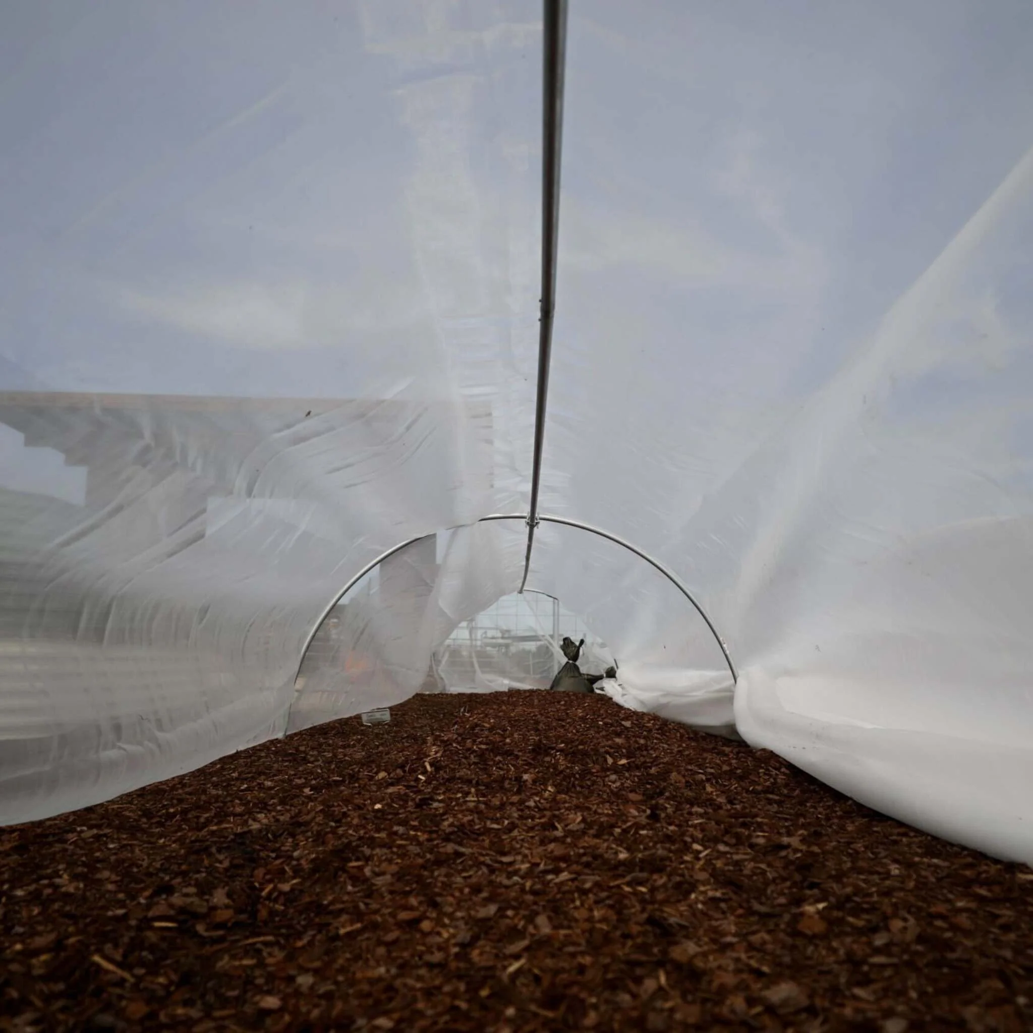 Heavy-Duty Insect Netting - Image 3