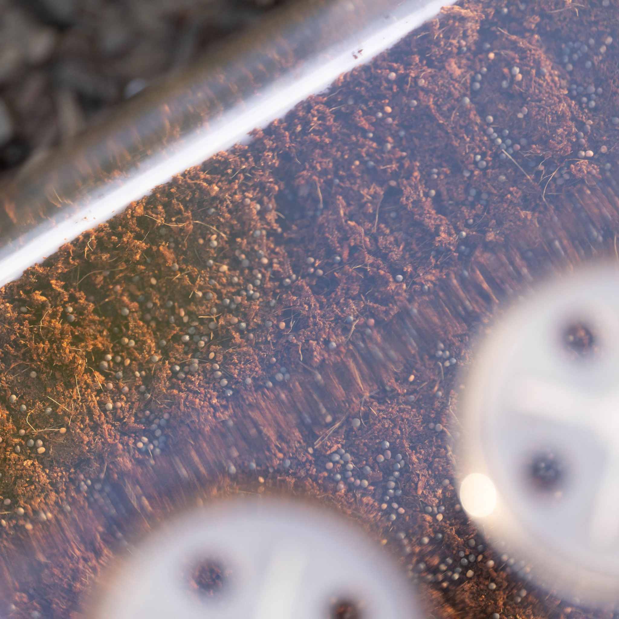 1010 Humidity Dome Tray Lids - Image 4