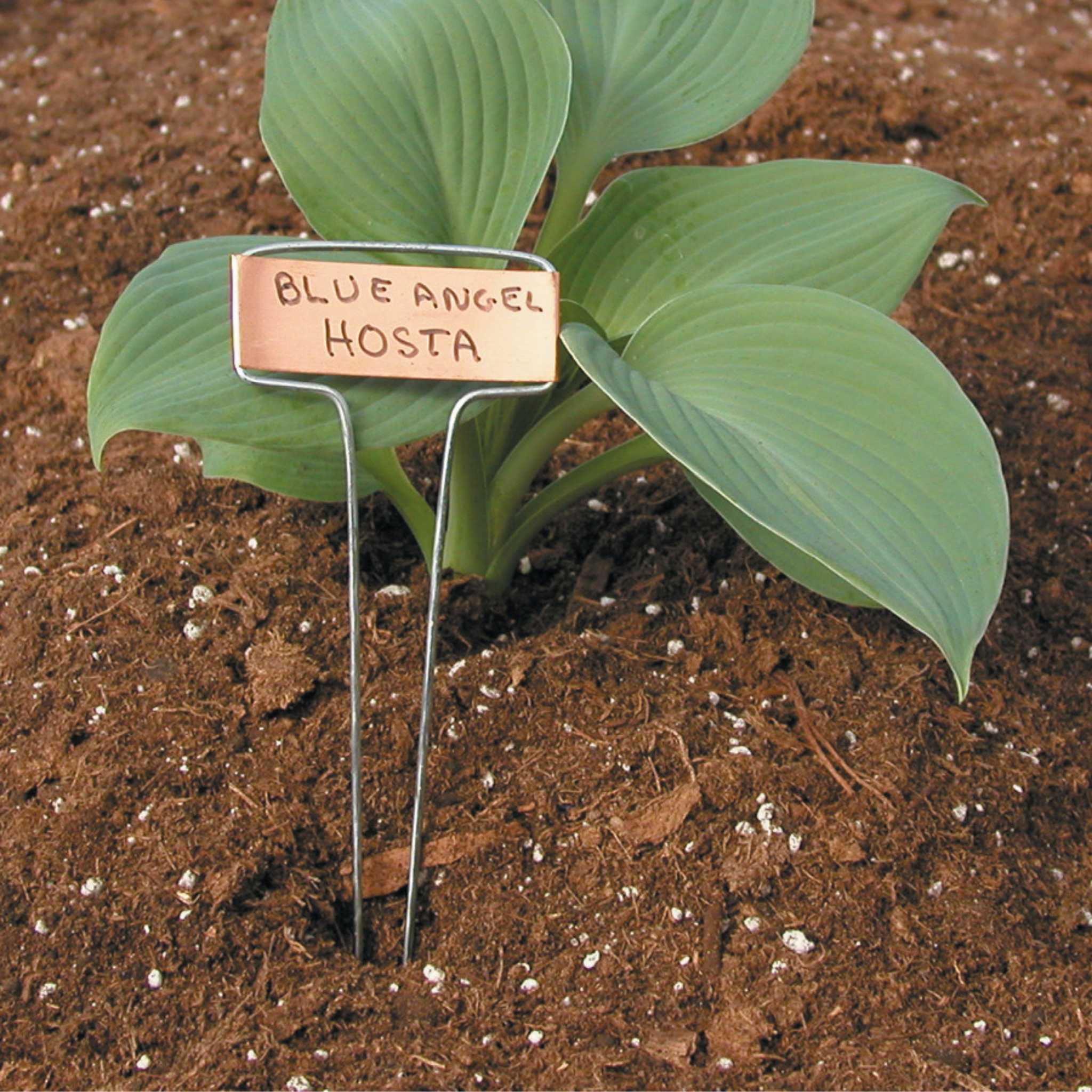 Luster Leaf Classic Impressions Garden 10" Plant Labels | Copper or Zinc 10 Pk. - Image 4