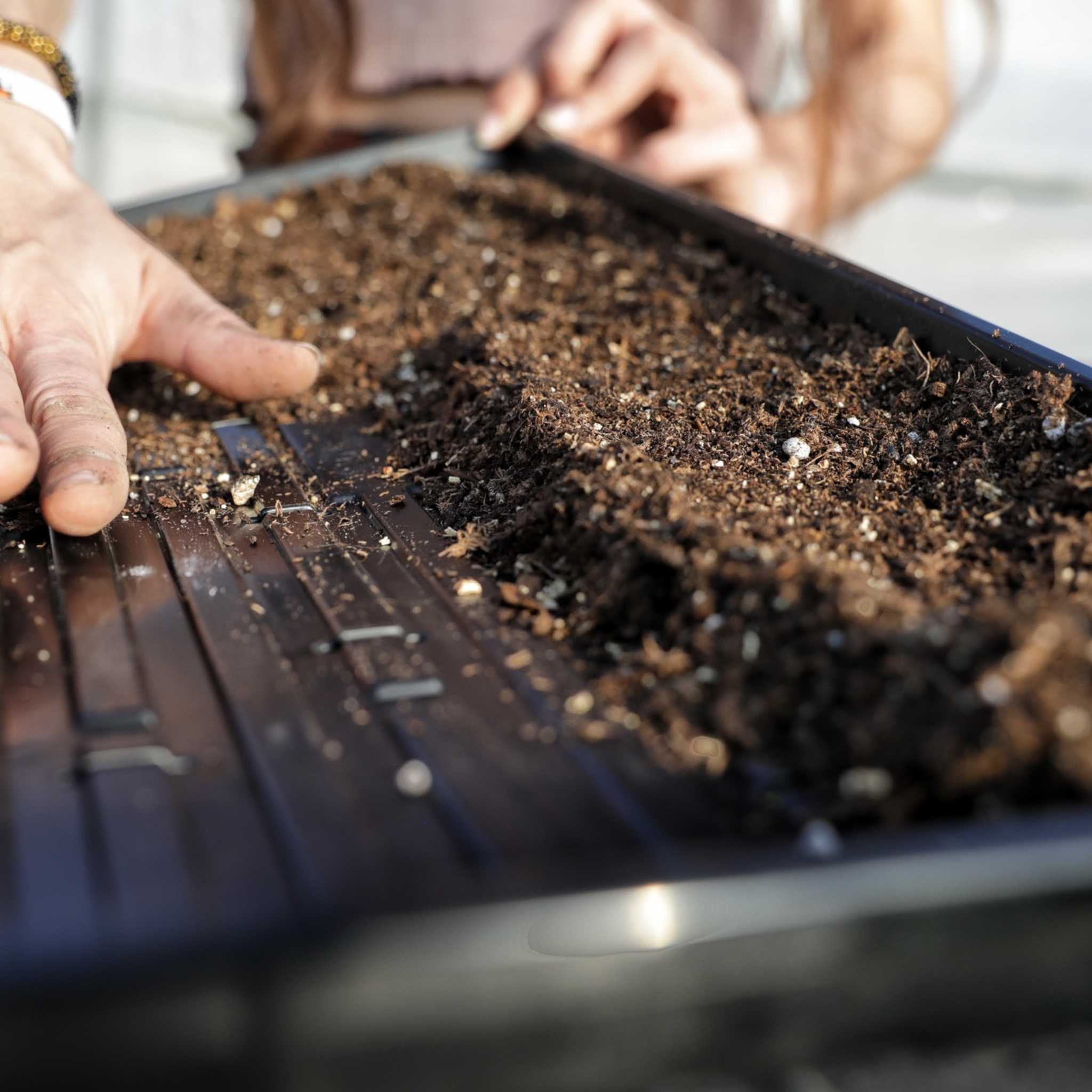 1020 Microgreen Trays | Extra Strength Shallow 1020 Trays - Image 10
