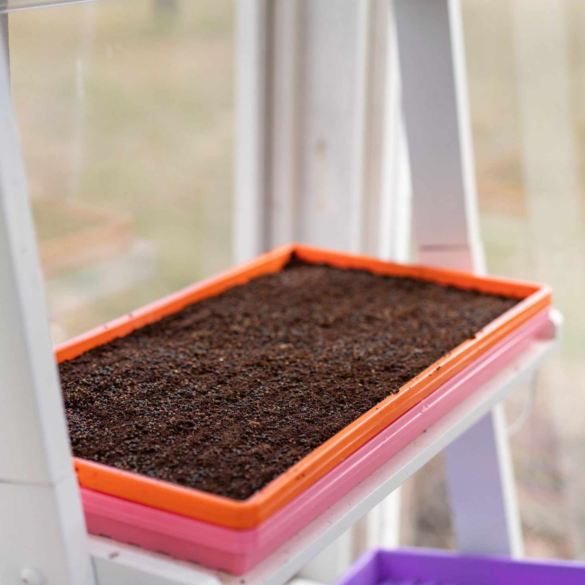 1020 Microgreen Trays - Shallow Extra Strength Colors - Image 20